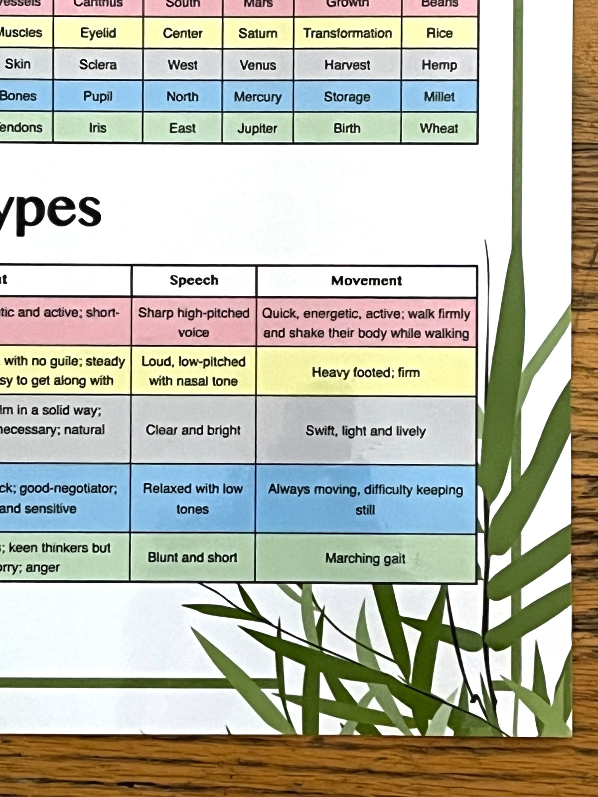 Laminated Wall Chart The Five Elements of Chinese Medicine Miridia Acupuncture