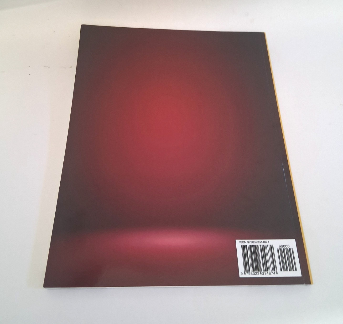 Microsoft Access Guide to Success by Kevin Pitch – 2024, III Edition