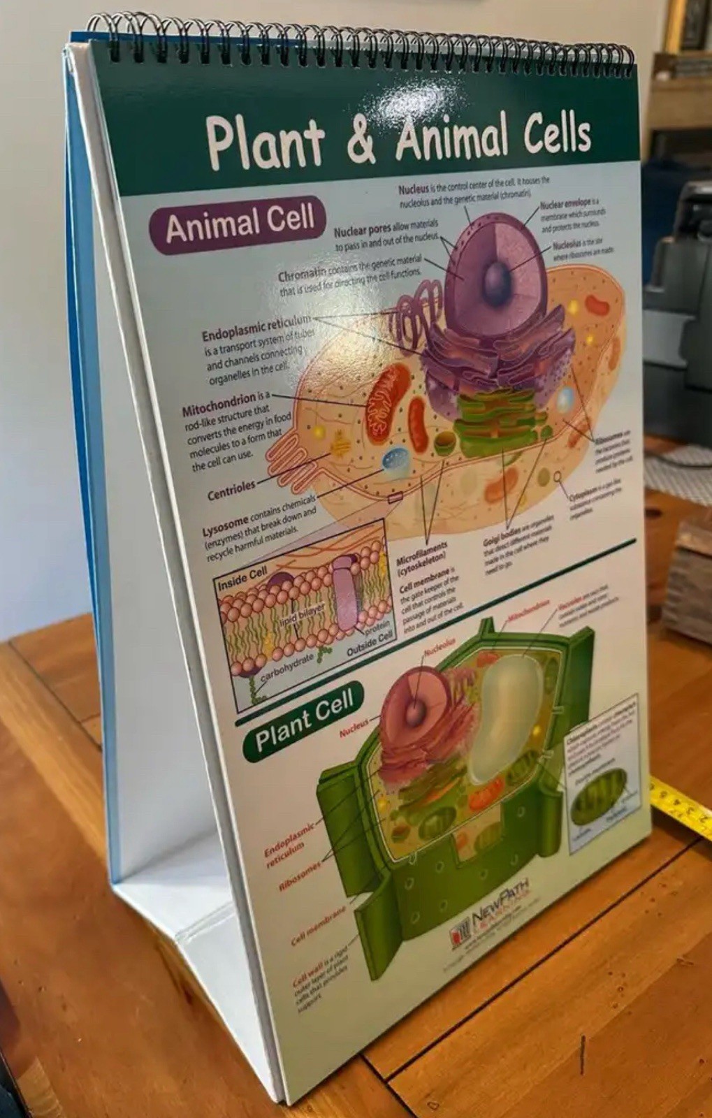 Vintage Science Stem School Learning Grade 8 Book Dry Erase Flip Chart Like New!