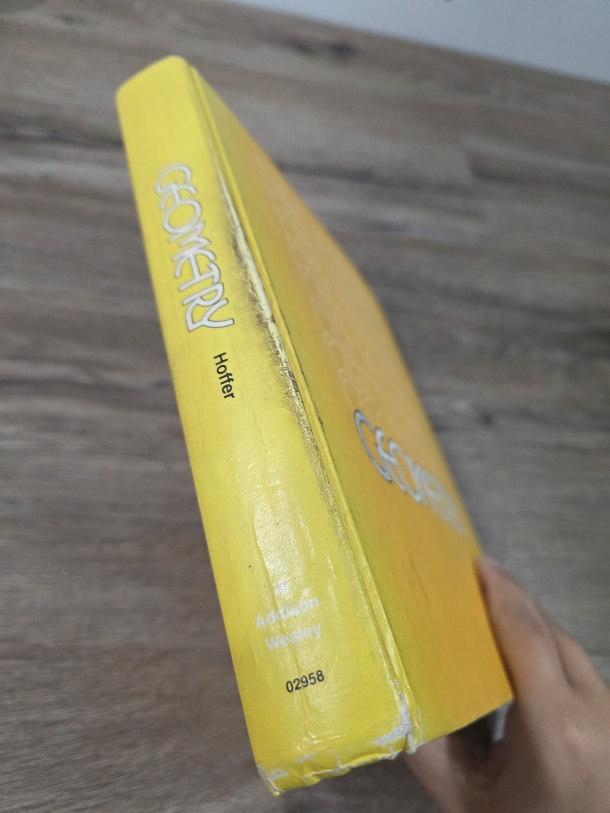 Geometry: A Model Of The Universe 1979 RARE Alan R. Hoffer! Addison-Wesle