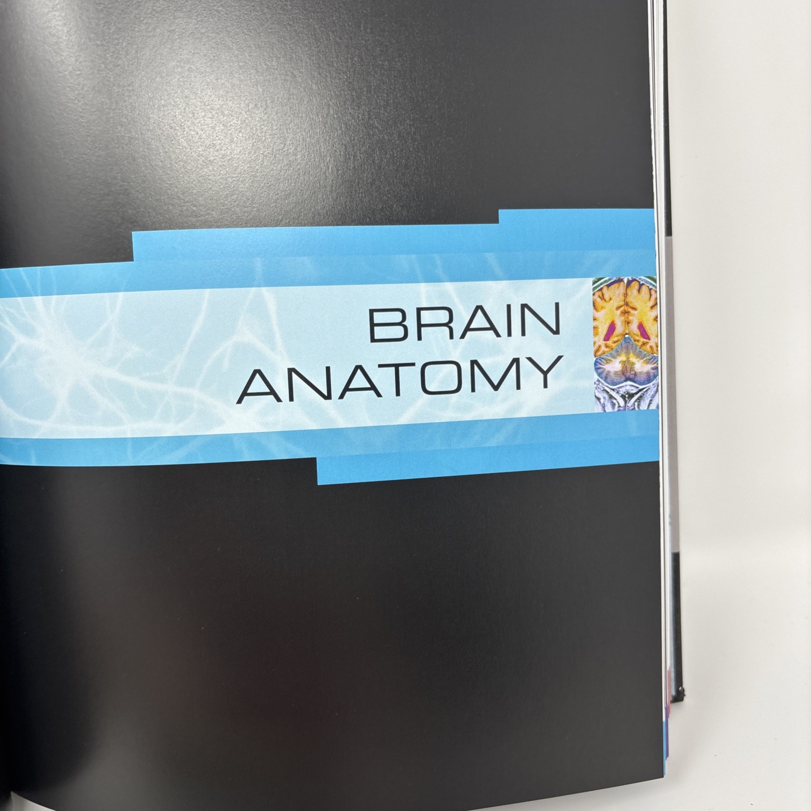 The Human Brain Book: New Edition 2019 Revised And Updated by Rita Carter.