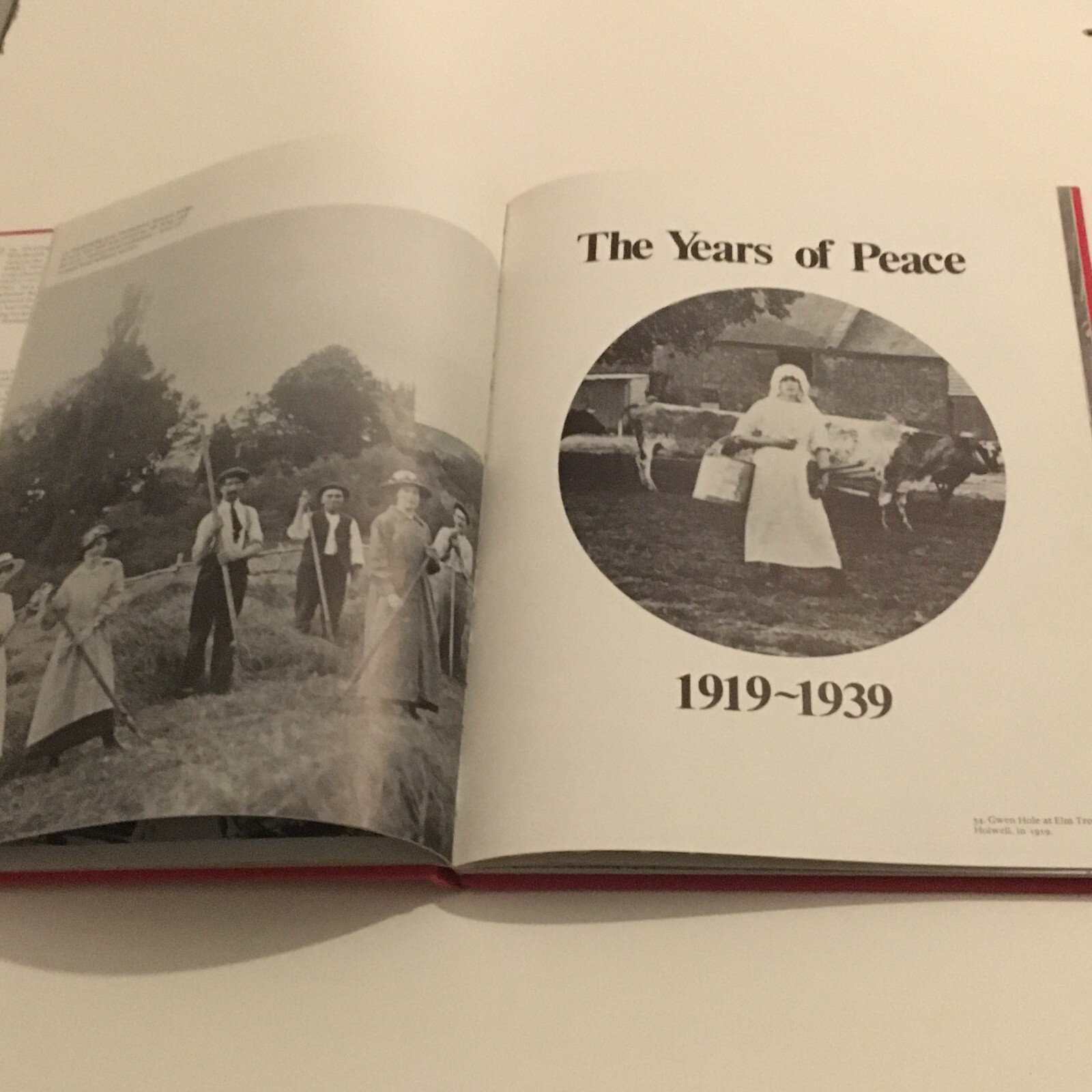A Dorset Camera 1914 – 1945. David Burnett. Dovecote press 4th printing 1983 D/W
