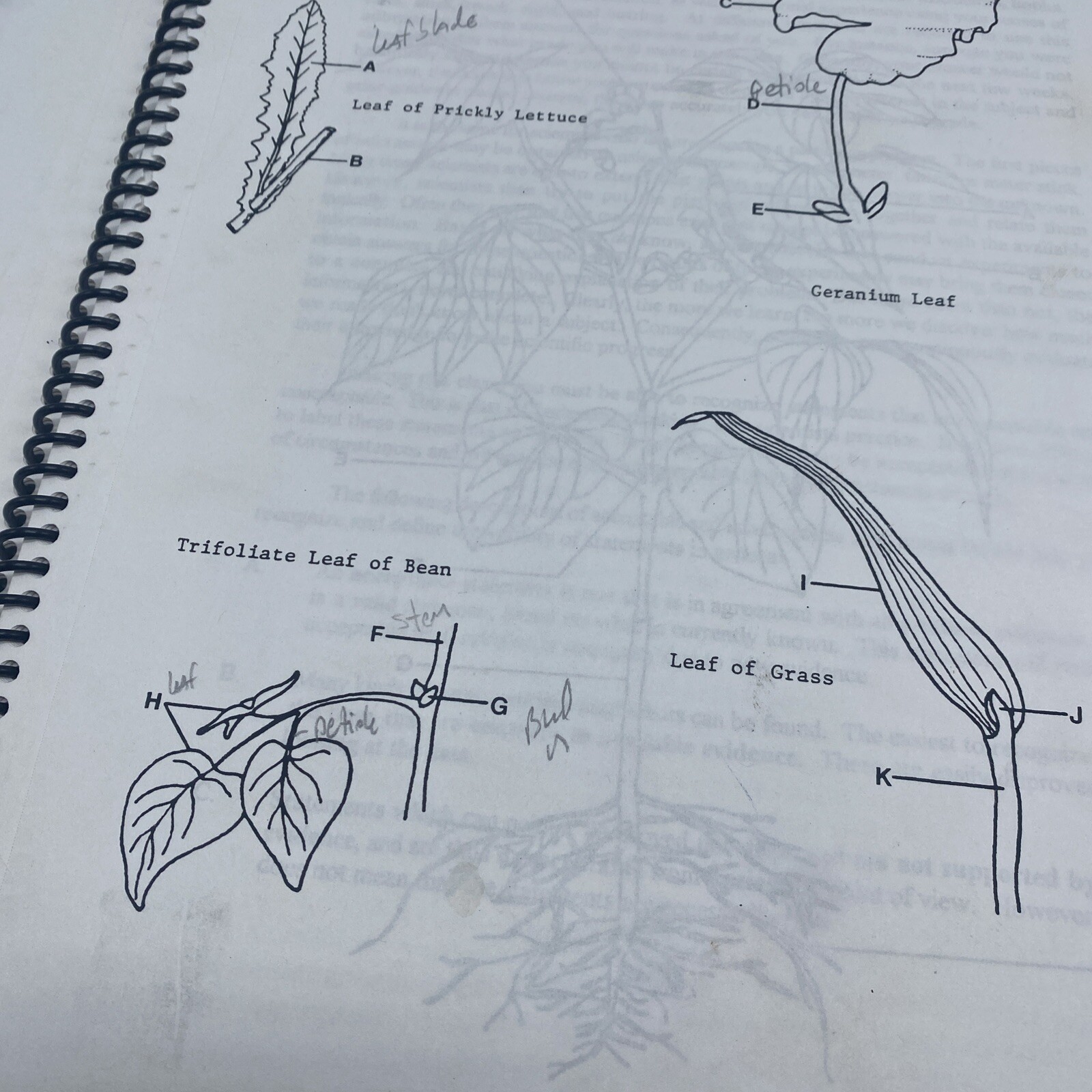 Introductory Botany Workbook Revised University of Oklahoma Gordon E. Uno & Staf