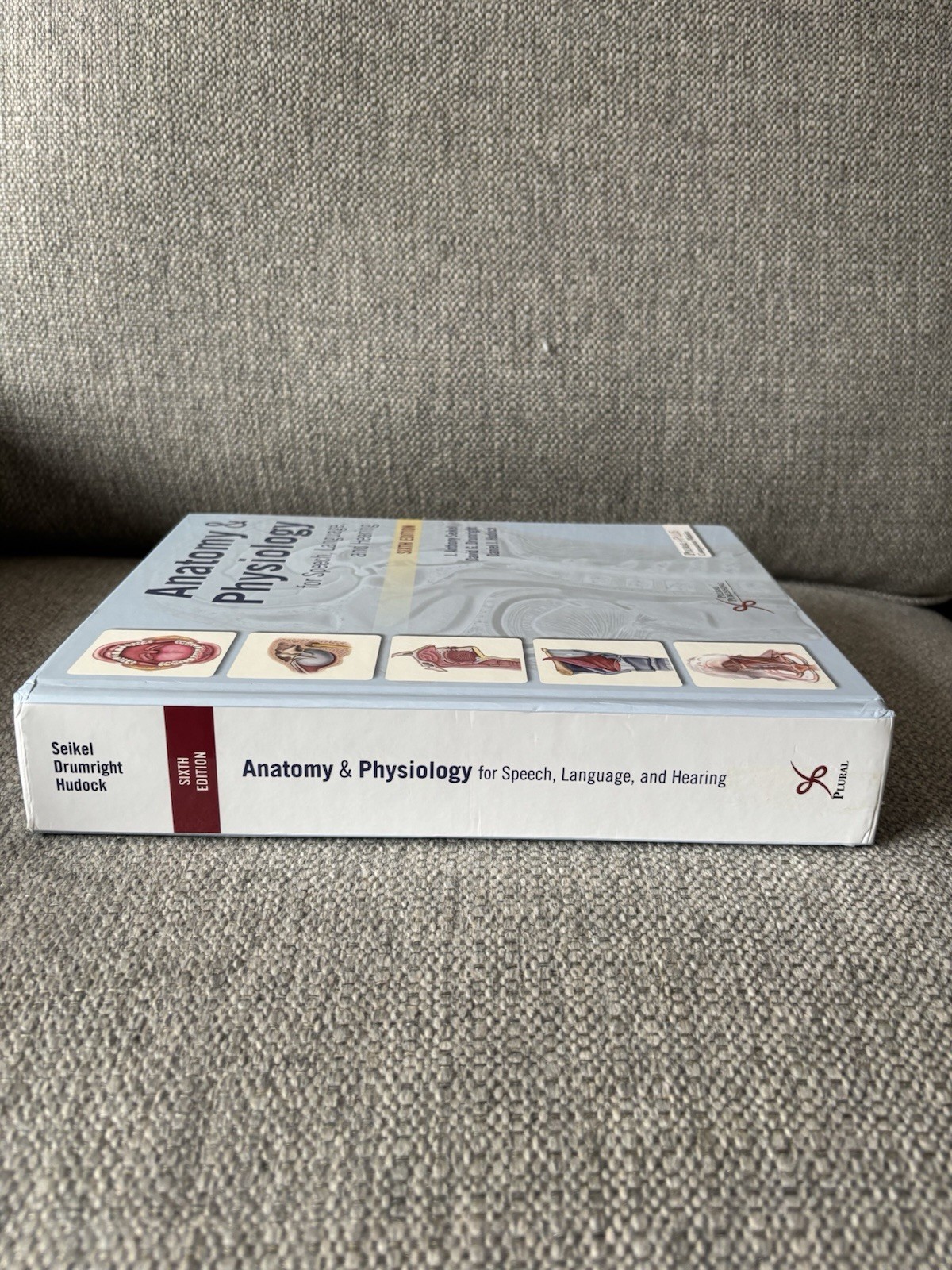 Anatomy & Physiology for Speech, Language, and Hearing 6th Edition Hardcover