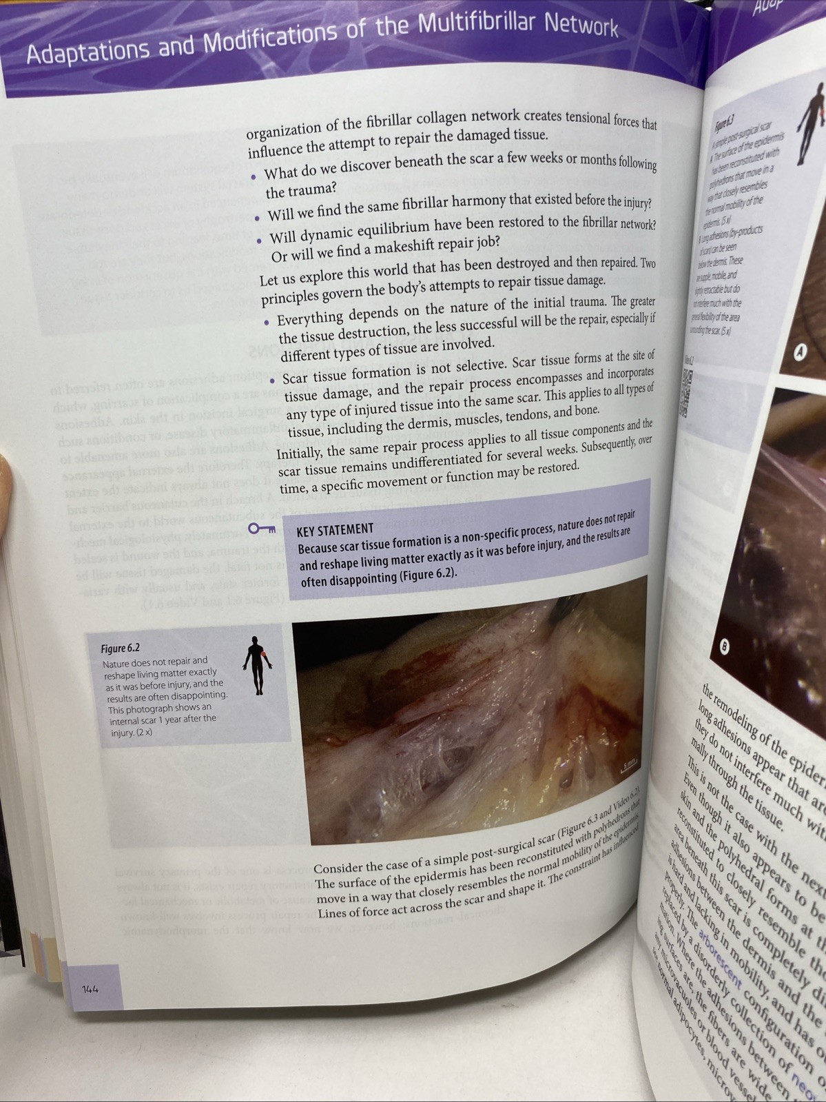Architecture of Human Living Fascia (2015, Hardcover + DVD, Clean Pages)