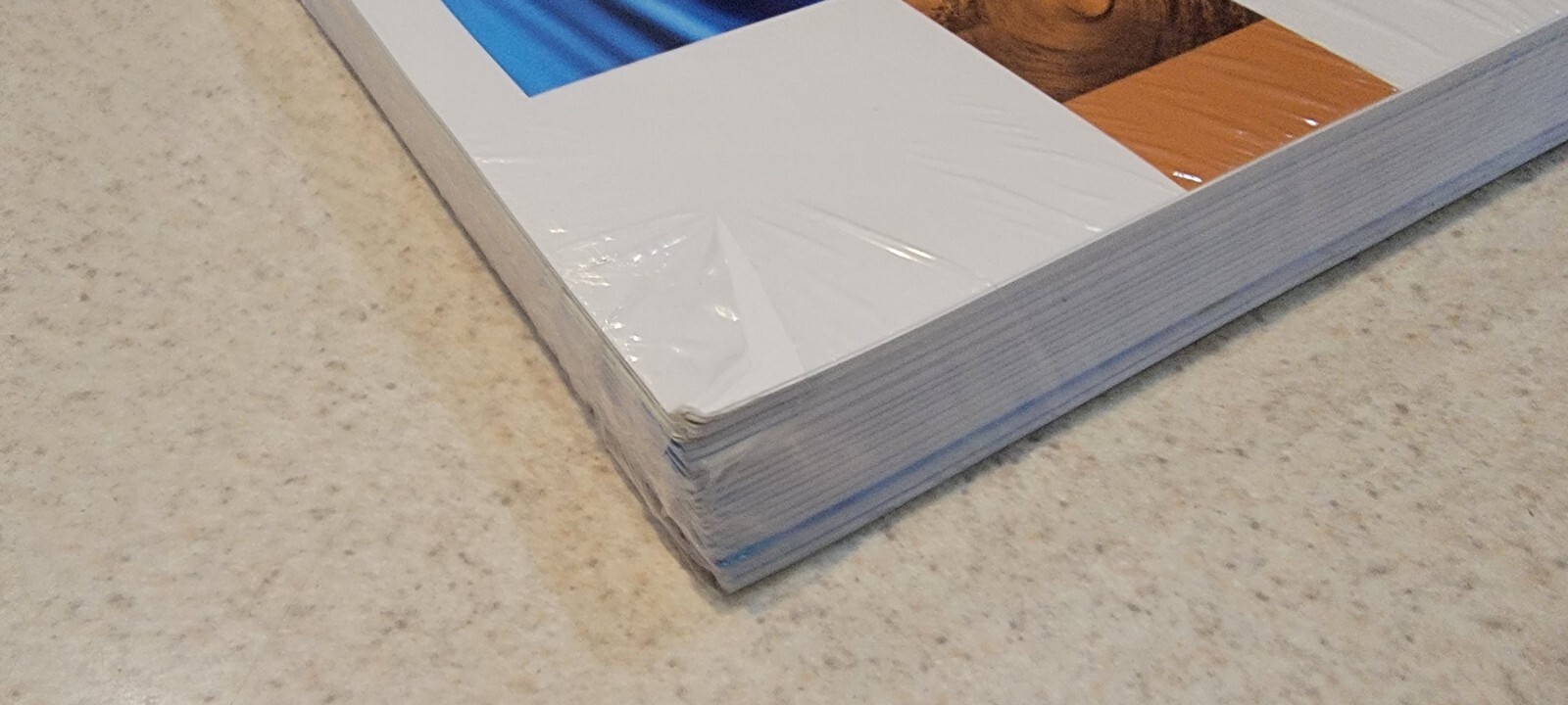 Corporate Finance by Ehrhardt and Brigham Loose-Leaf Version – Sixth Edition