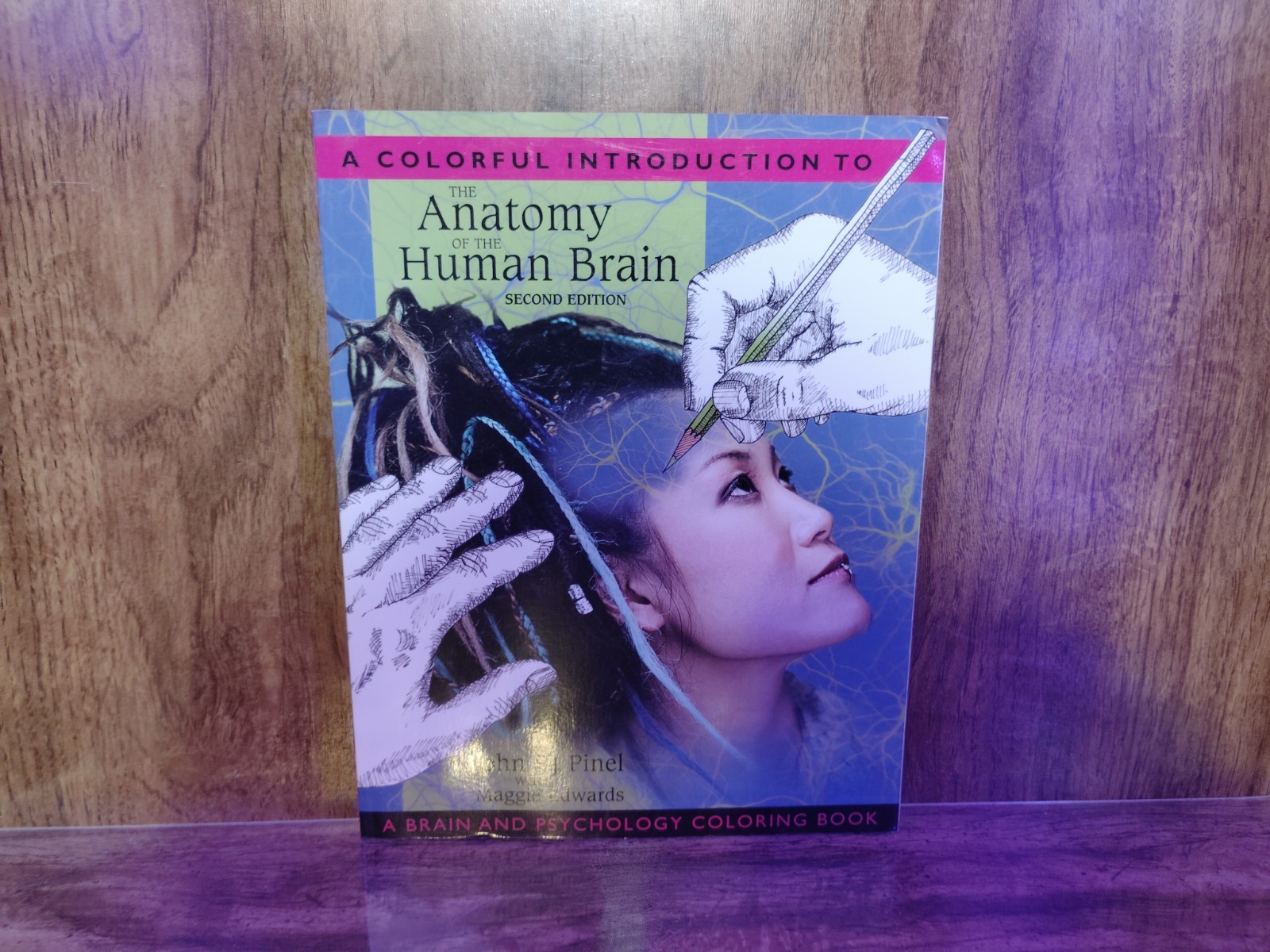 A Colorful Introduction Anatomy Human Brain Pinel Edwards 2nd Ed Coloring Book