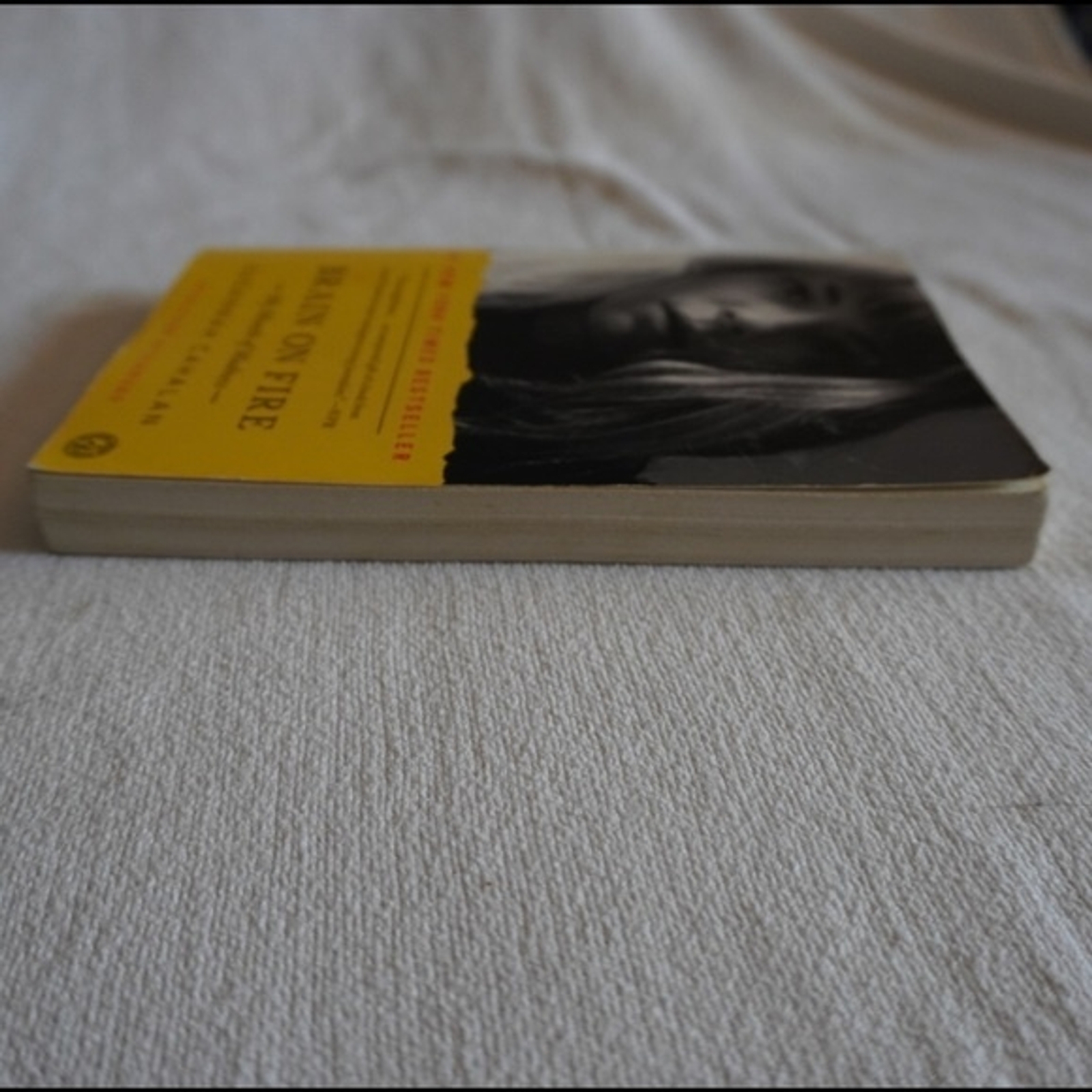 Susannah Cahalan Brain on Fire My Month of Madness