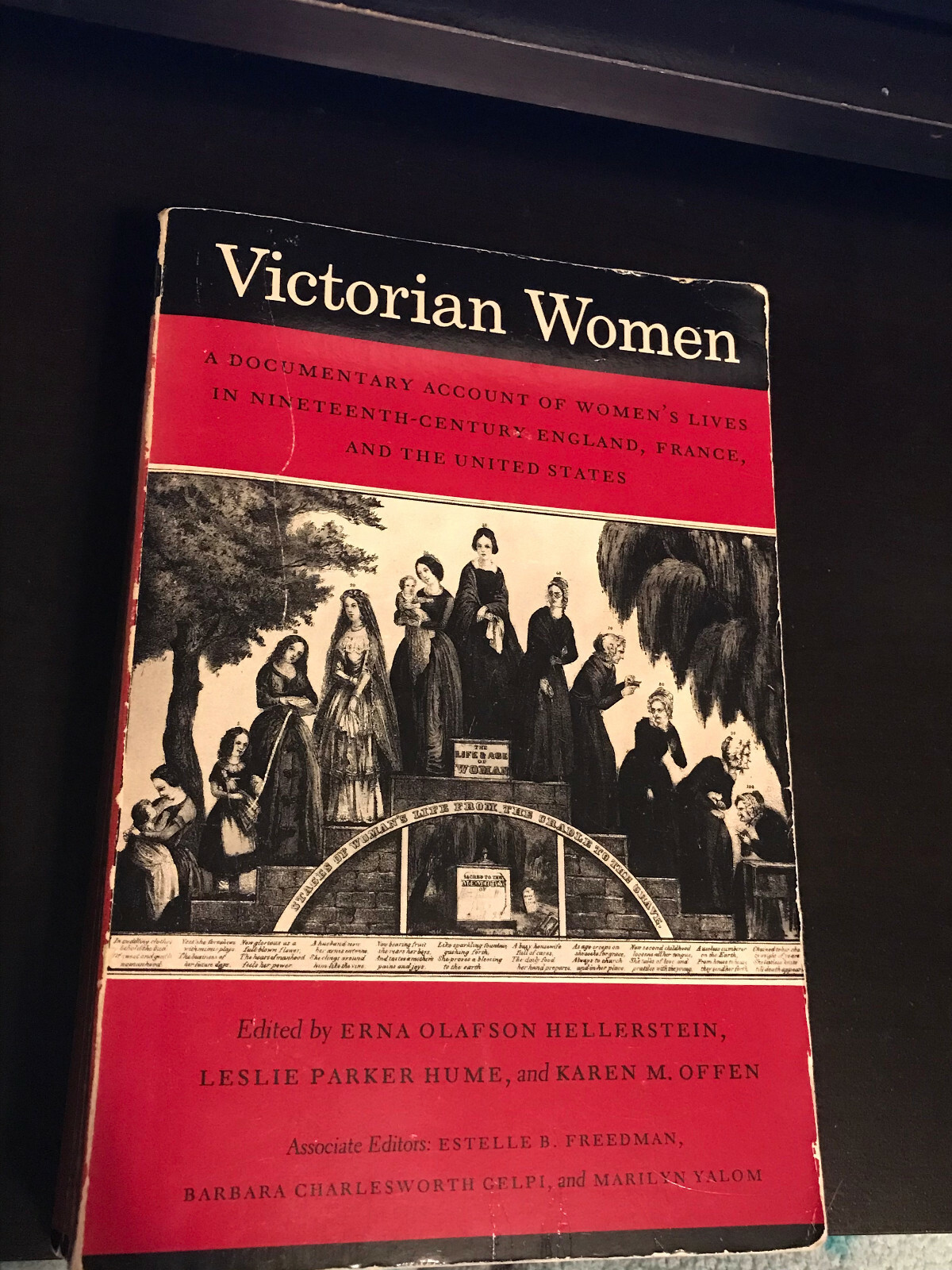 Victorian Women Book ISBN 0804710961 534 pages 19th century england france USA
