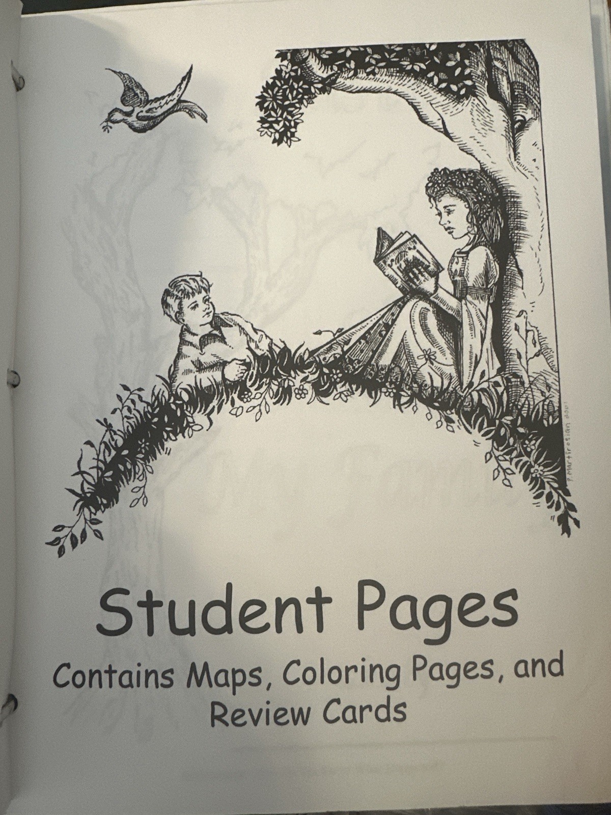 Story Of The World: Volume 1 Student Pages and Tests with Answer Key, In Binder