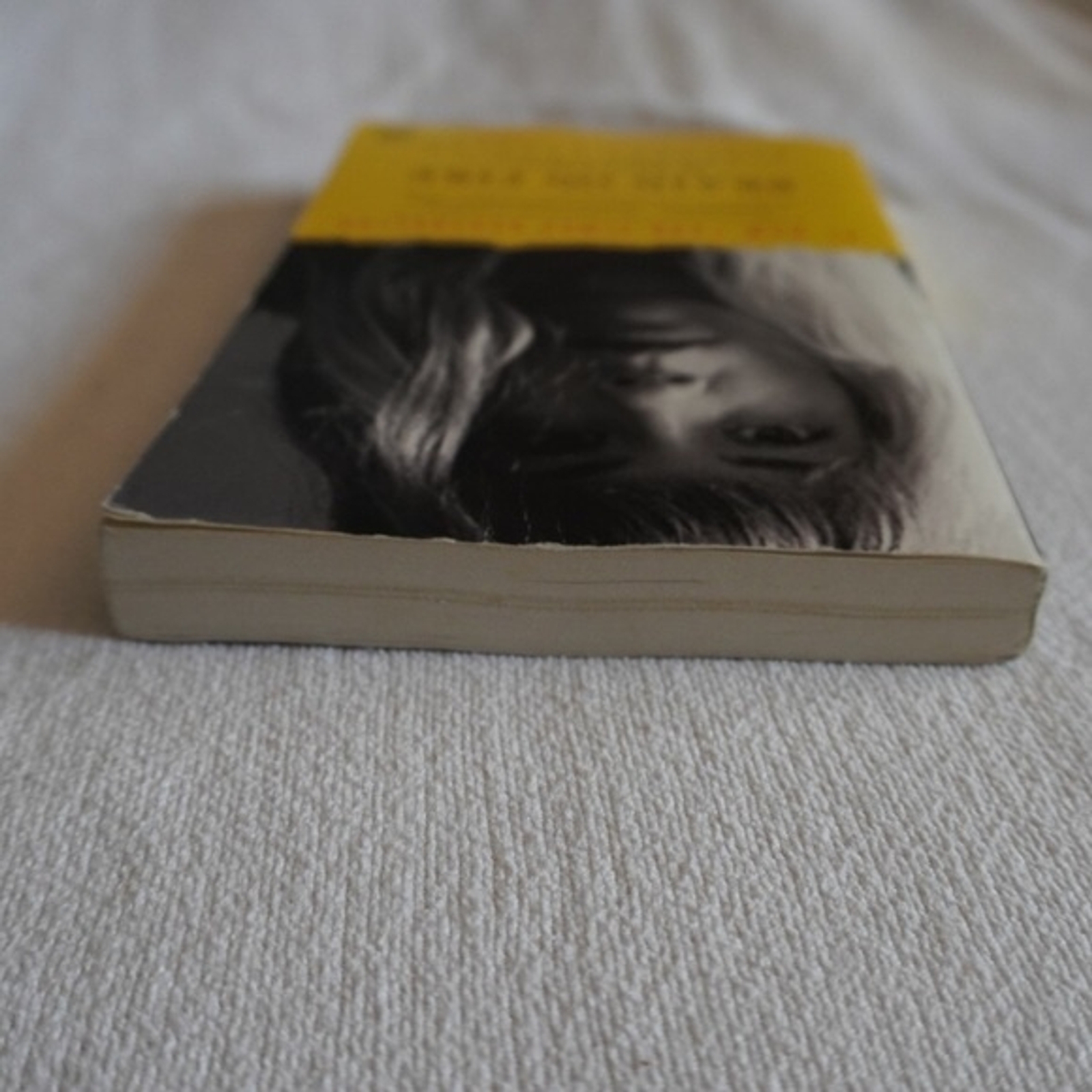 Susannah Cahalan Brain on Fire My Month of Madness