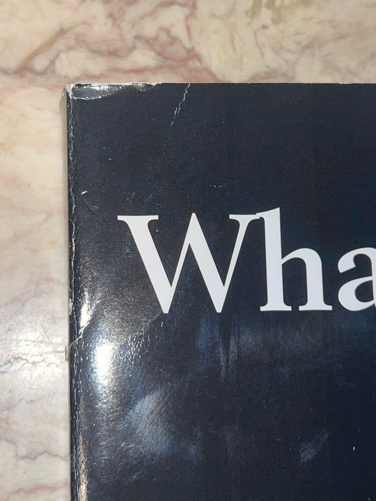 What If? Writing Exercises for Fiction Writers by Pamela Painter & Anne Bernays