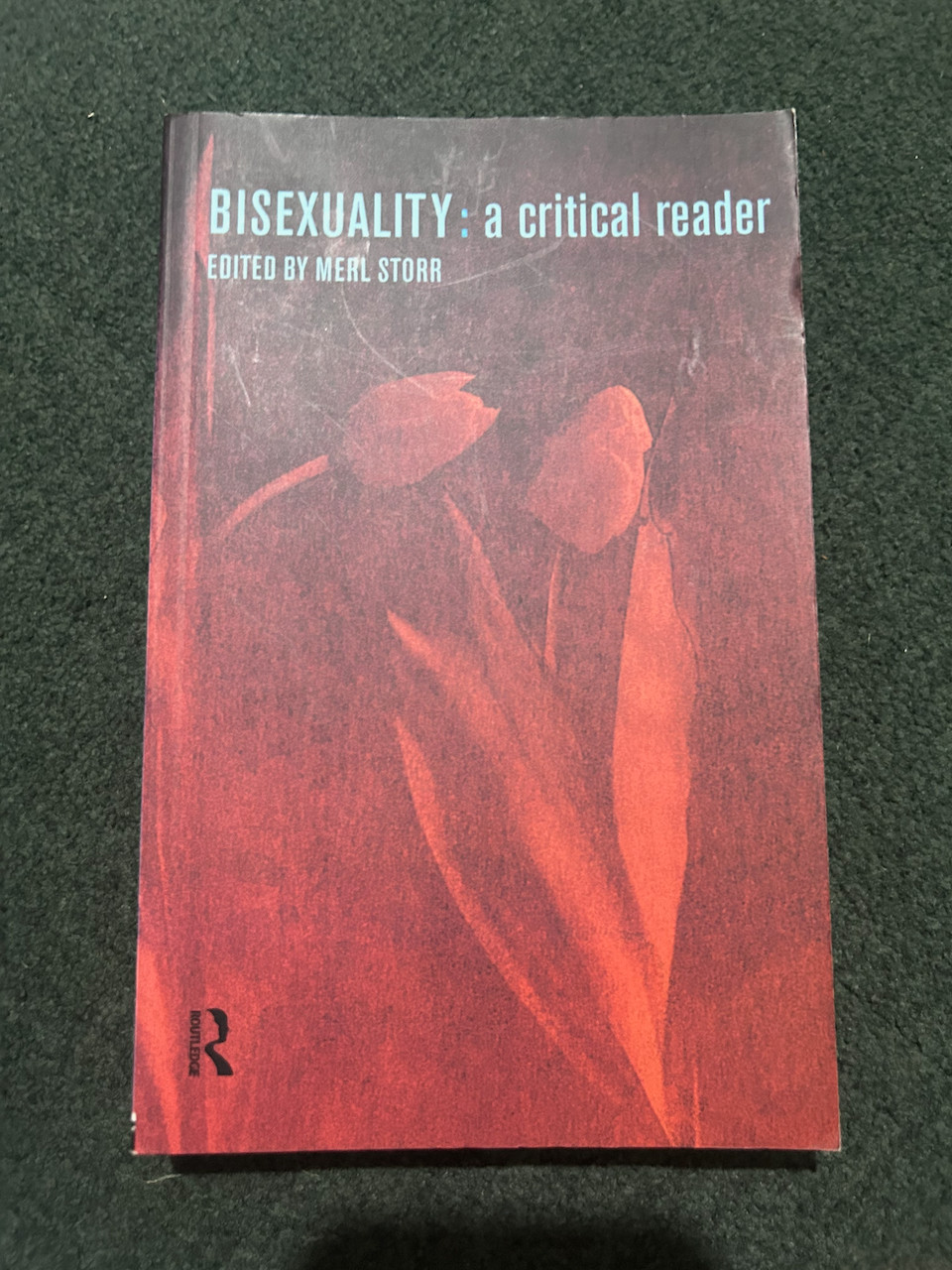 Bisexuality: a Critical Reader by Merl Storr (1999, Uk-B Format Paperback)