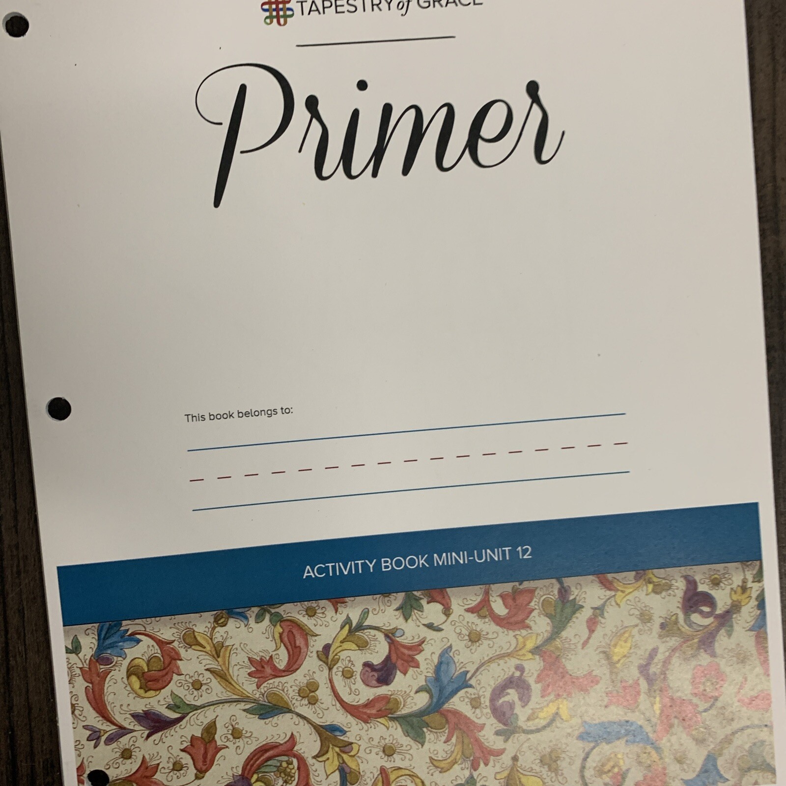 Tapestry of Grace: Primer Activity Book for Mini-Units Set – Units 4-12