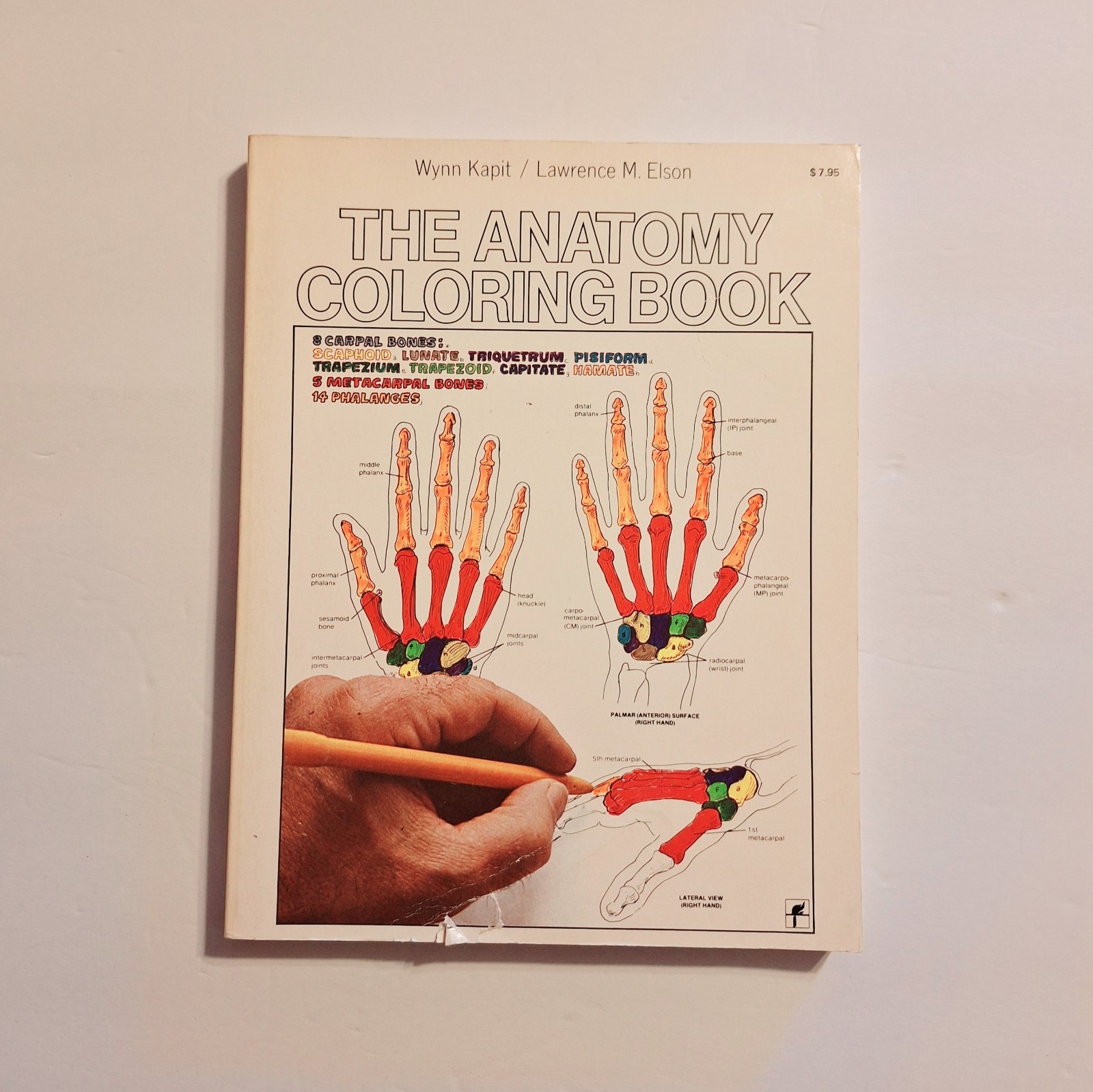 The Anatomy Coloring Book – Paperback By Wynn Kapit