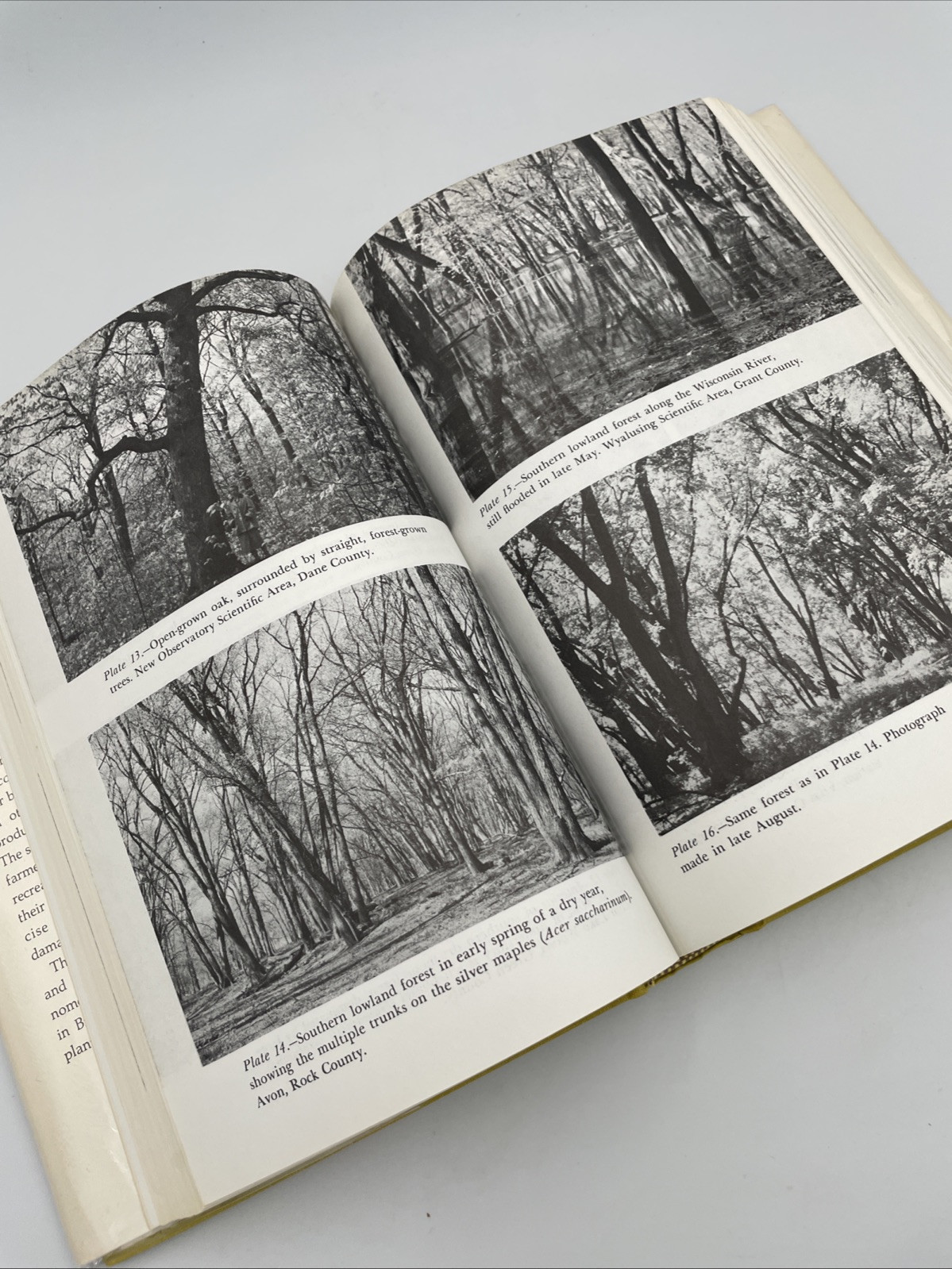 Vegetation of Wisconsin: Ordination of Plant Communities. Curtis HCDJ 1978