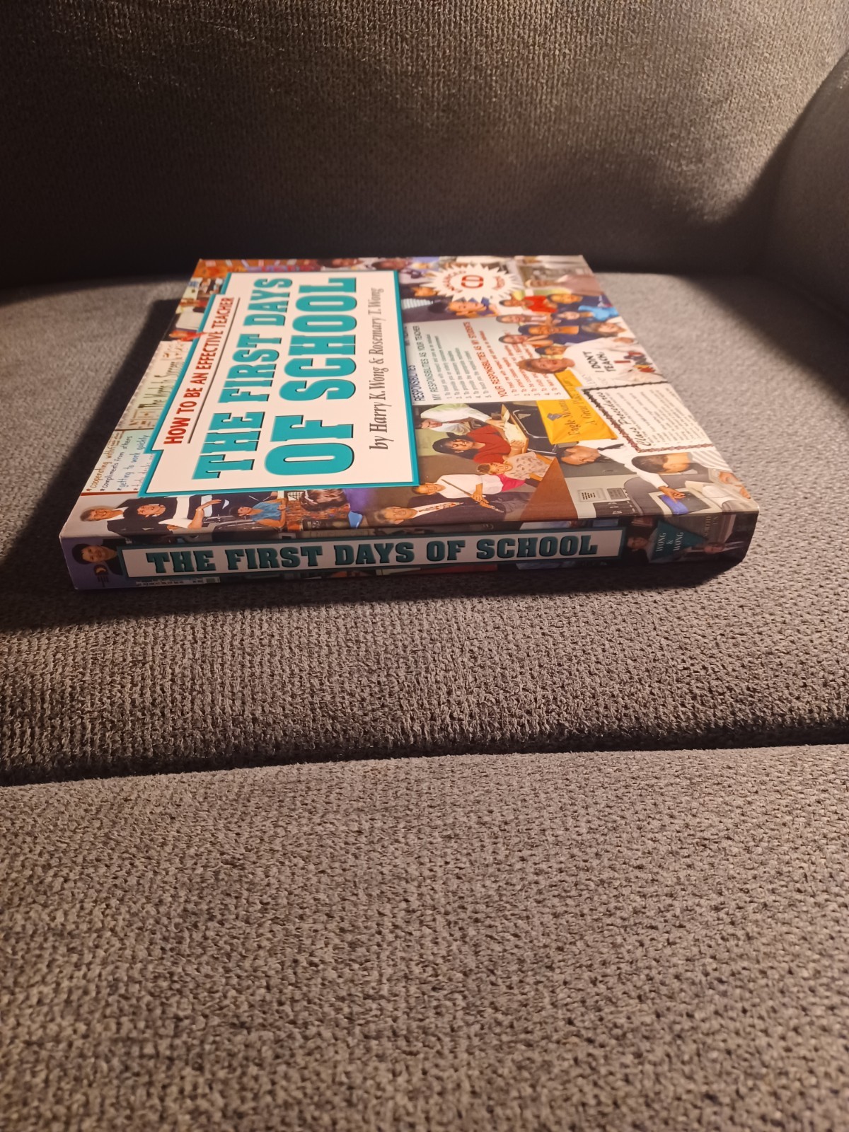 The First Days Of School By Harry K & Rosemary T Wong How To Be An Effective…