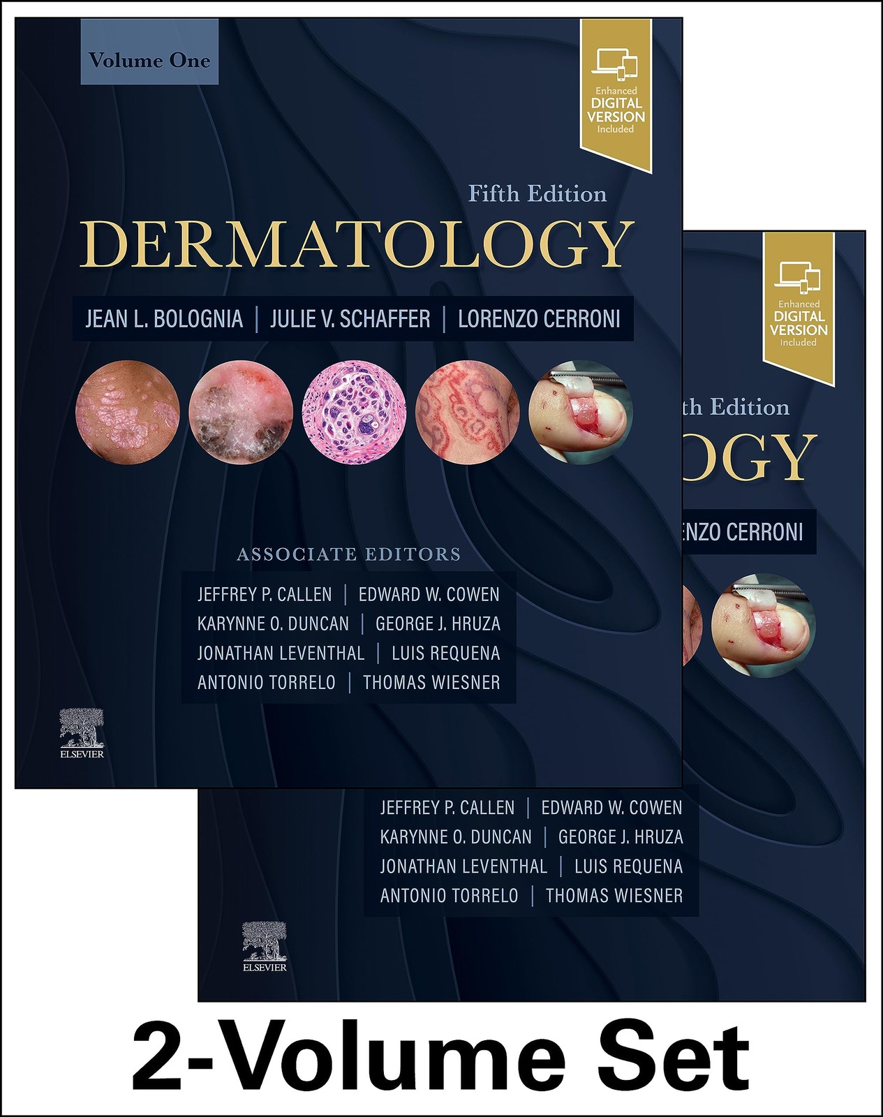 DERMATOLOGY: 2-VOLUME SET BY Jean L. Bolognia Md HARDCOVER **ACCEPTABLE**