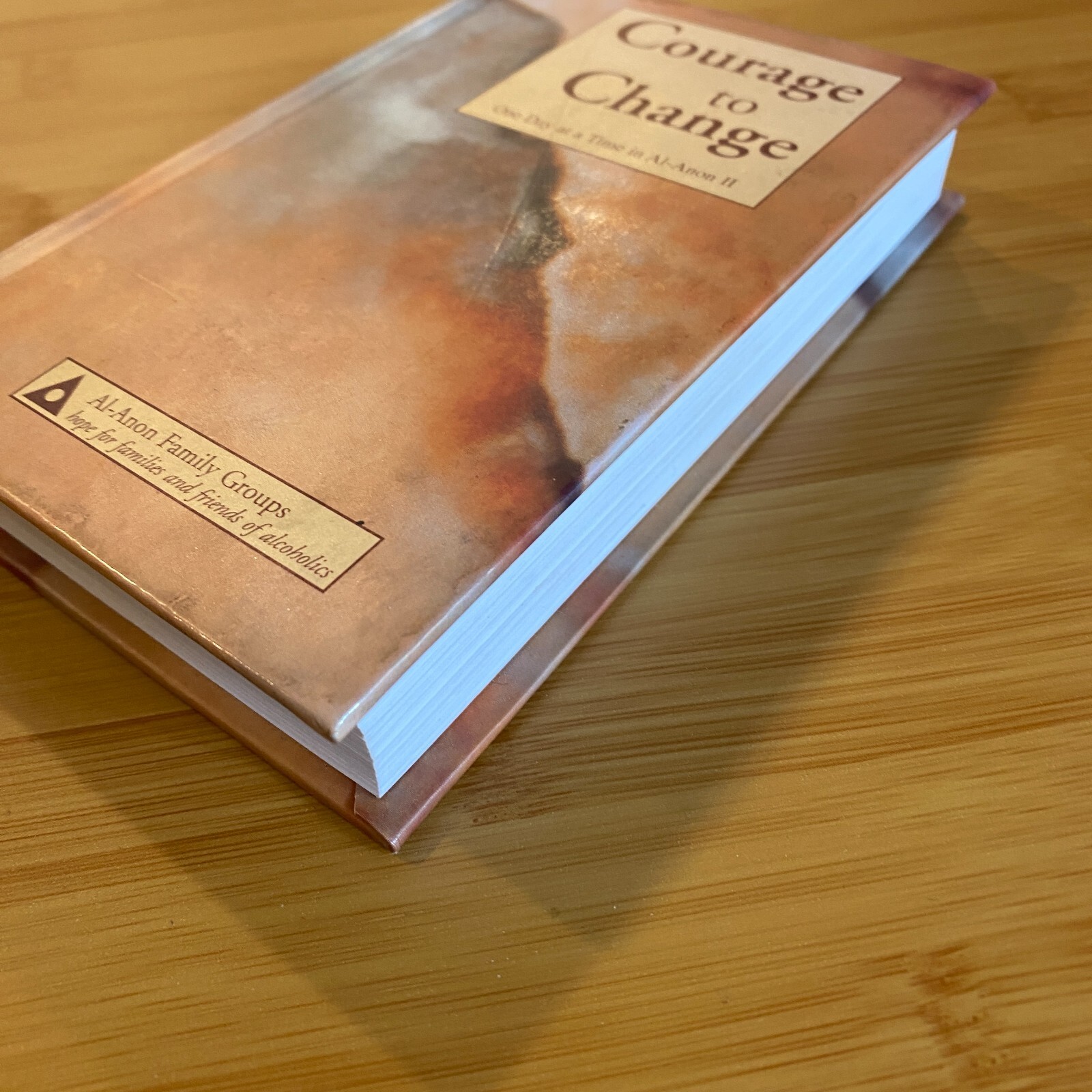 Courage to Change by Al-Anon Family Group – Good