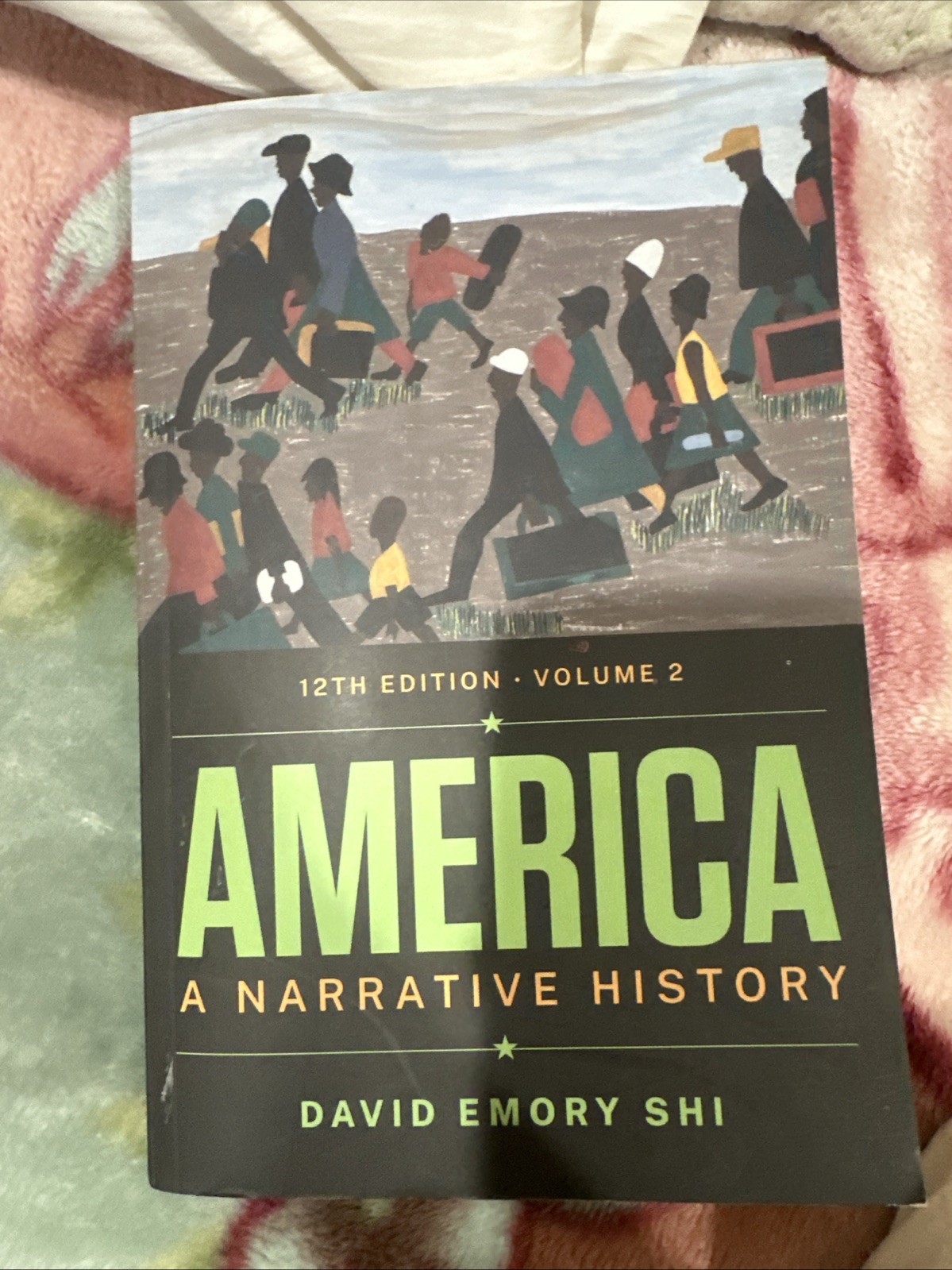 America : A Narrative History (Volume 2) by David E. Shi (2022, Trade Paperback)