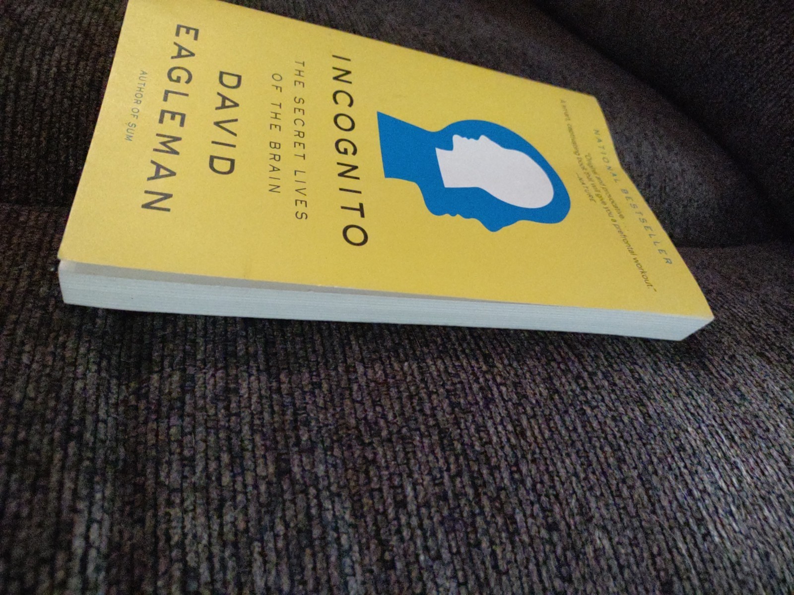 Incognito : The Secret Lives of the Brain by David Eagleman (2012, Trade…