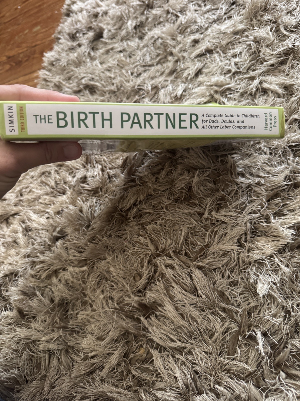 The Birth Partner Penny Simkin – Childbirth Guide for Partners – Brand New