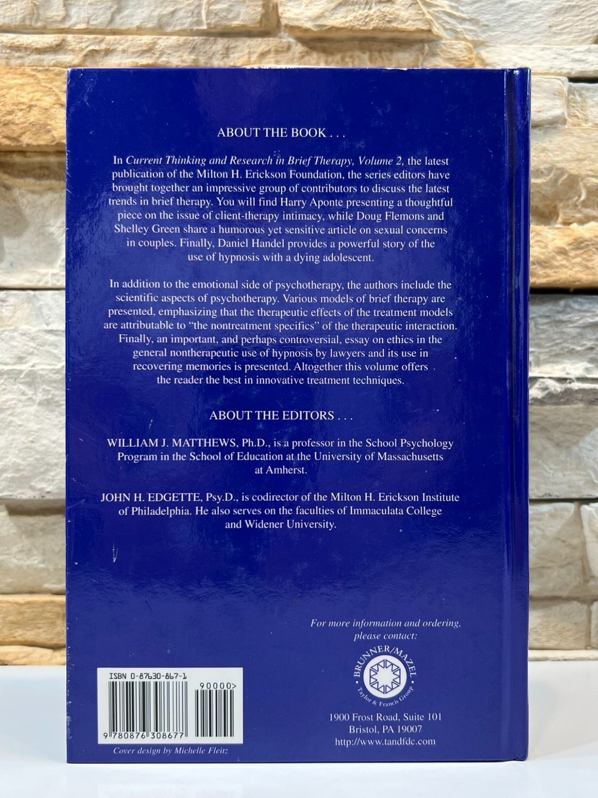 Current Thinking and Research in Brief Therapy Vol. 2 Matthews Edgette 1998 HC