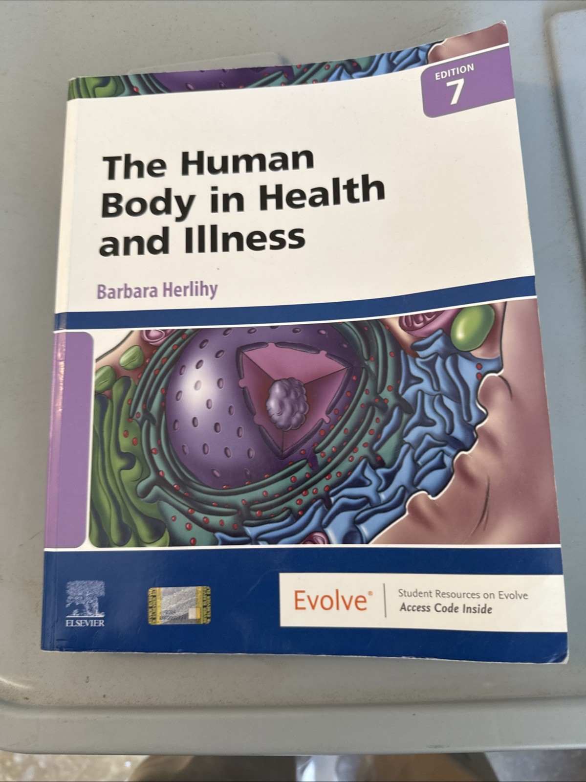 The Human Body in Health and Illness Used Great Condition Very Little Underline