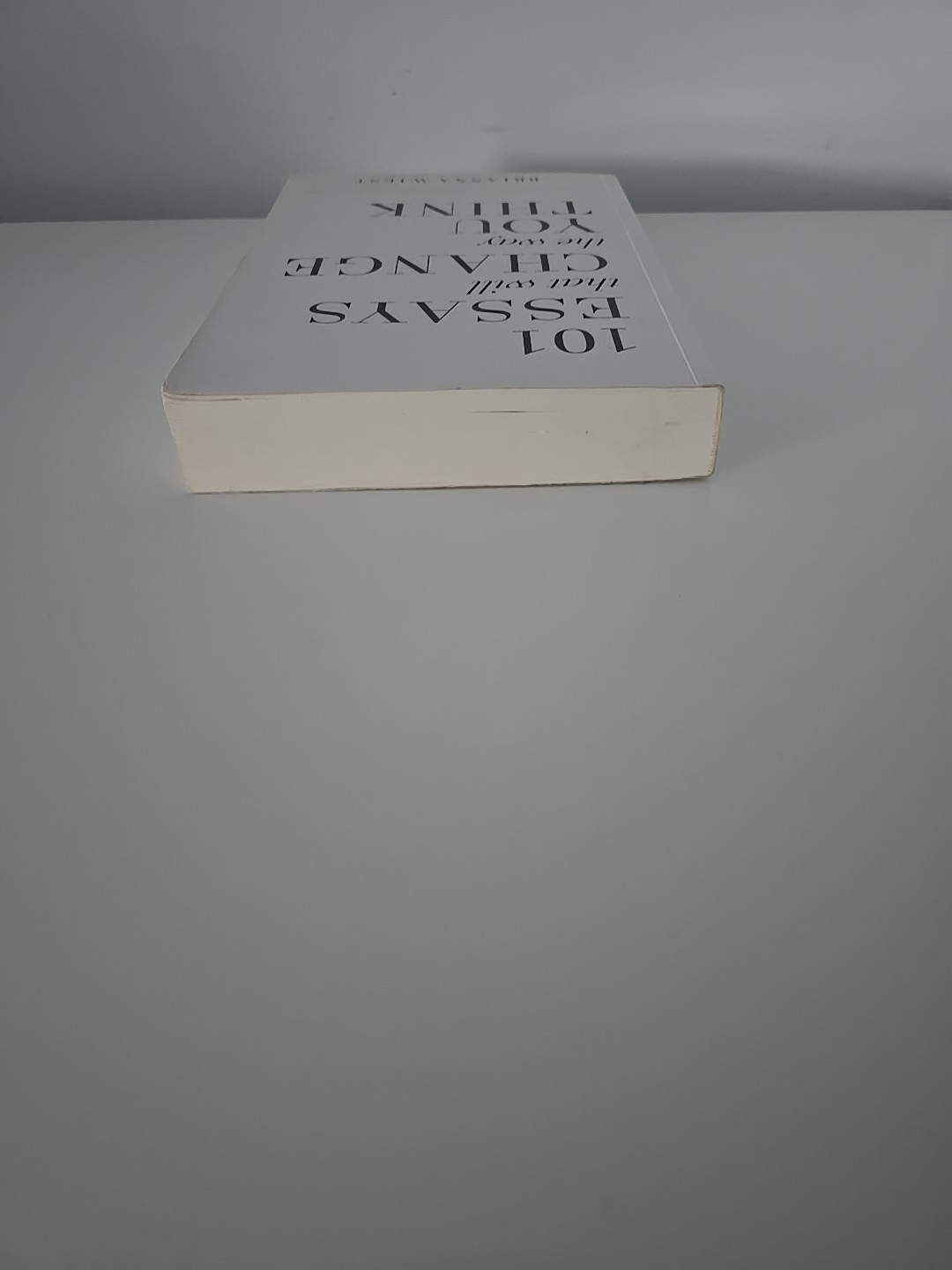 101 Essays That Will Change The – Paperback, by Wiest Brianna;