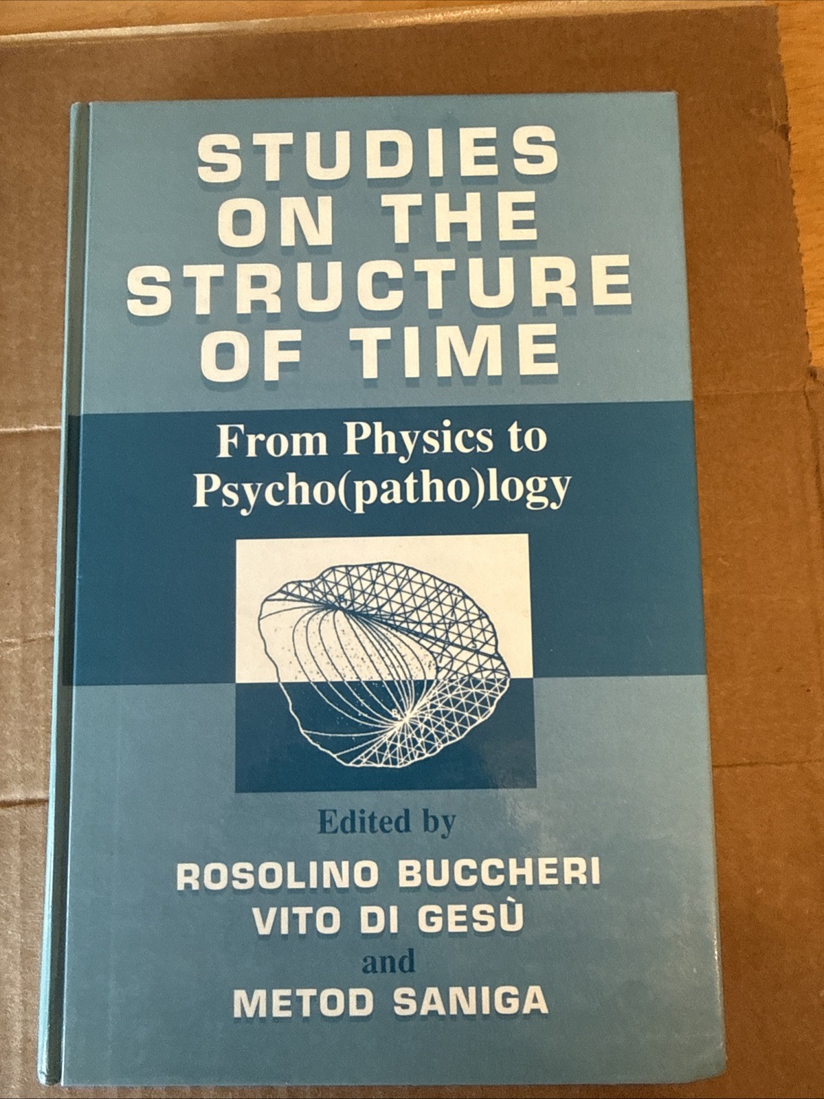 Studies on Structure of Time Physics to Psychopathology, Buccheri | Fine HC 2000