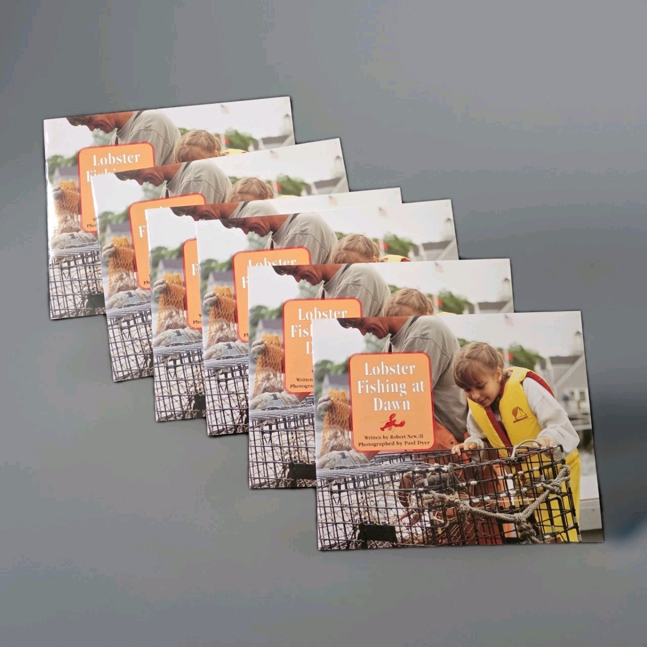 Beginning Children’s Ready Readers Multiple 6 Copies Early Leveled 1-2