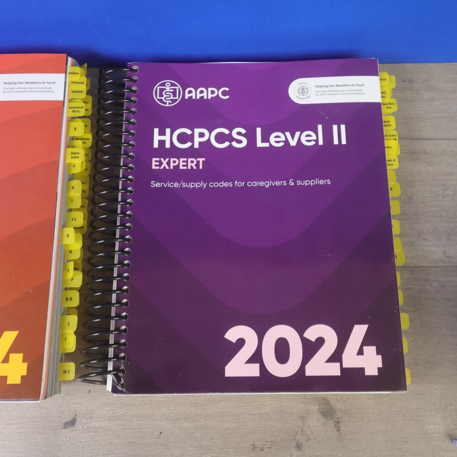 2024 ICD-10-CM & HCPCS Level II Expert Code Book Lot AAPC Spiral EUC