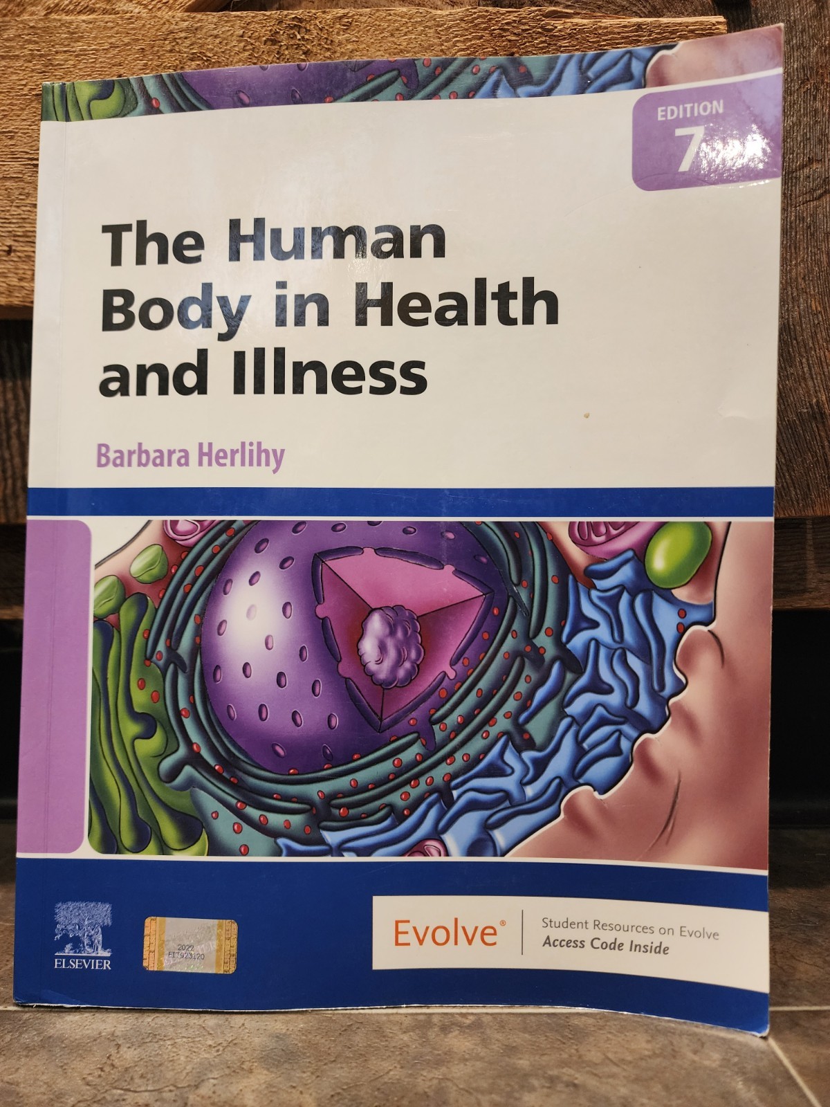 Human Body in Health and Illness by Barbara Herlihy (2021, Trade Paperback)