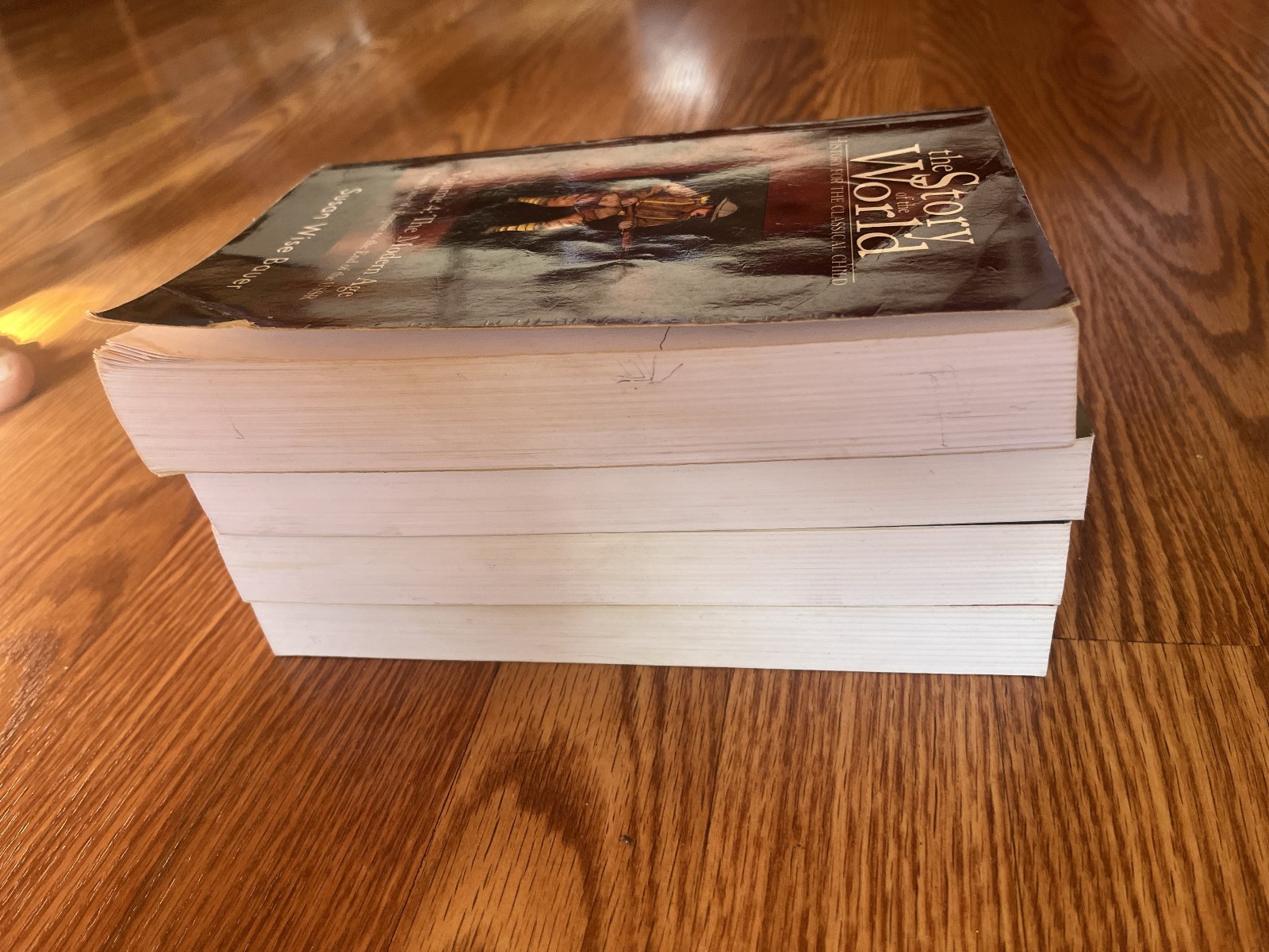 The Story of the World Vols 1-4 by Susan Wise Bauer
