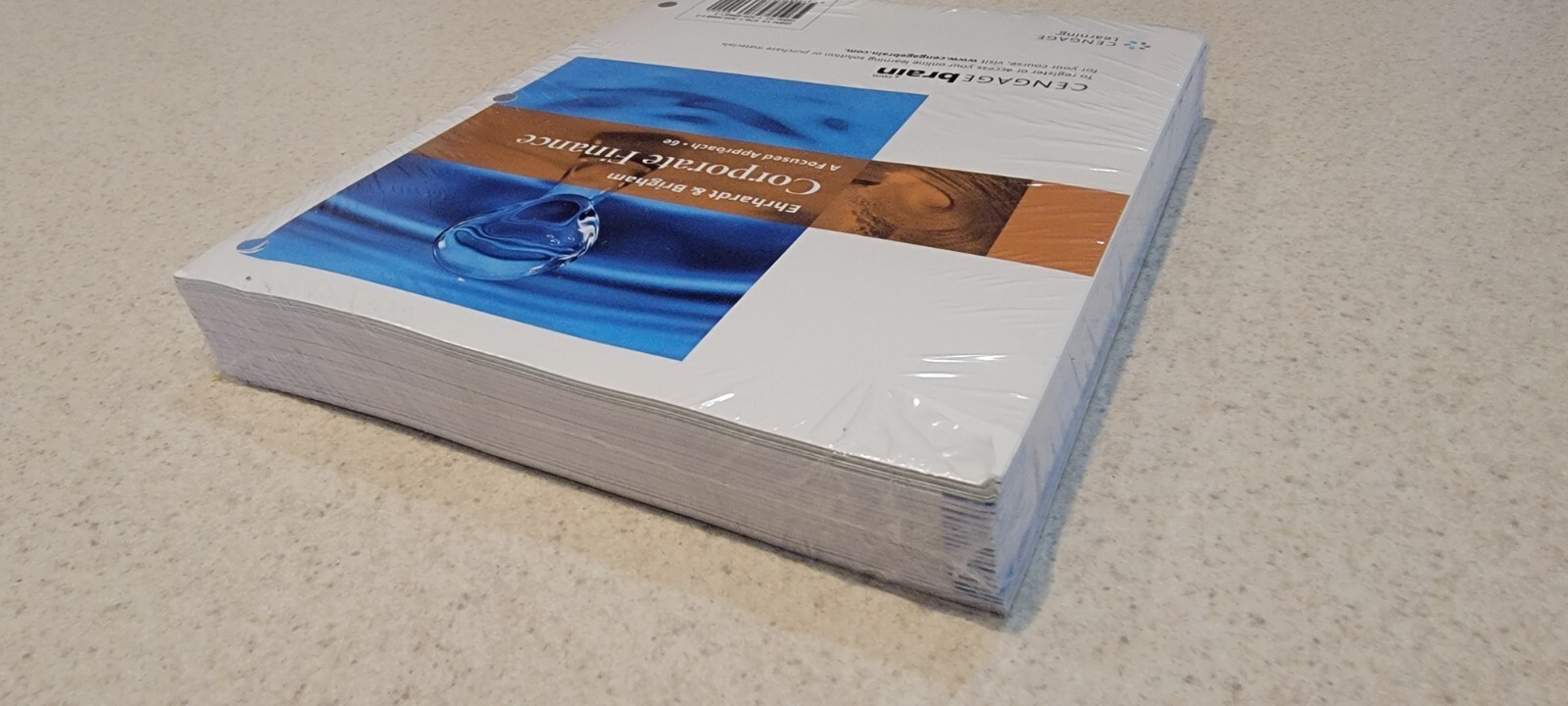 Corporate Finance by Ehrhardt and Brigham Loose-Leaf Version – Sixth Edition