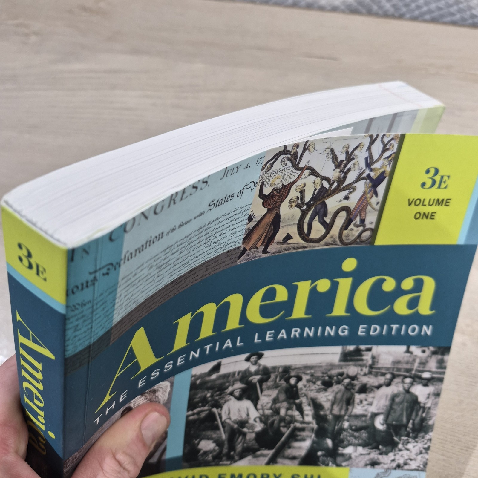 America: The Essential Learning Edition (Volume 1) by Shi, David E. B5