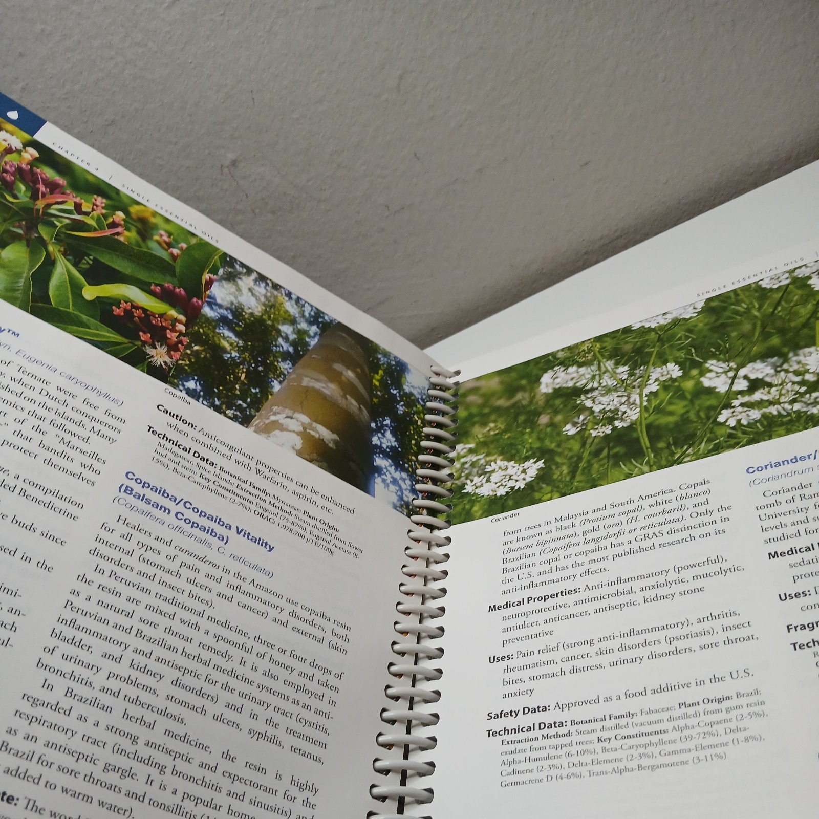Animal Essential Oils Desk Reference : 1st Edition by Life Science Publishers