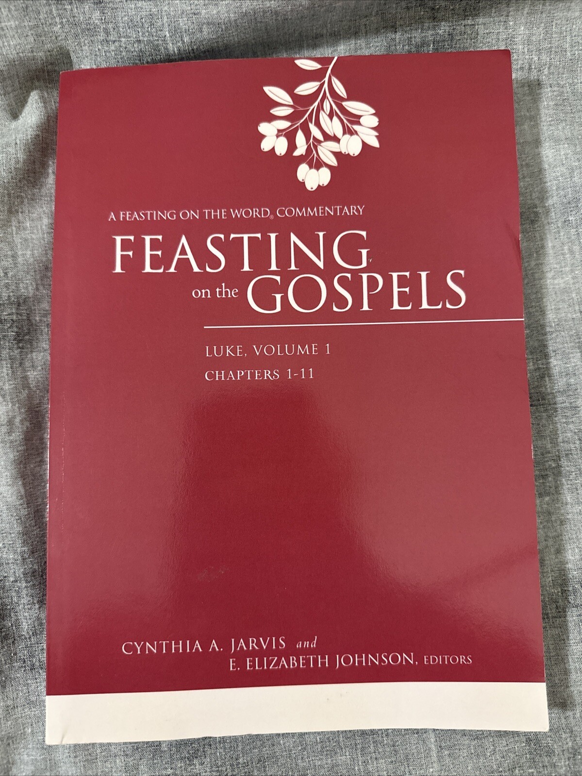 Feasting on the Gospels Ser.: Feasting on the Gospels–Luke, Volume 1 : A…