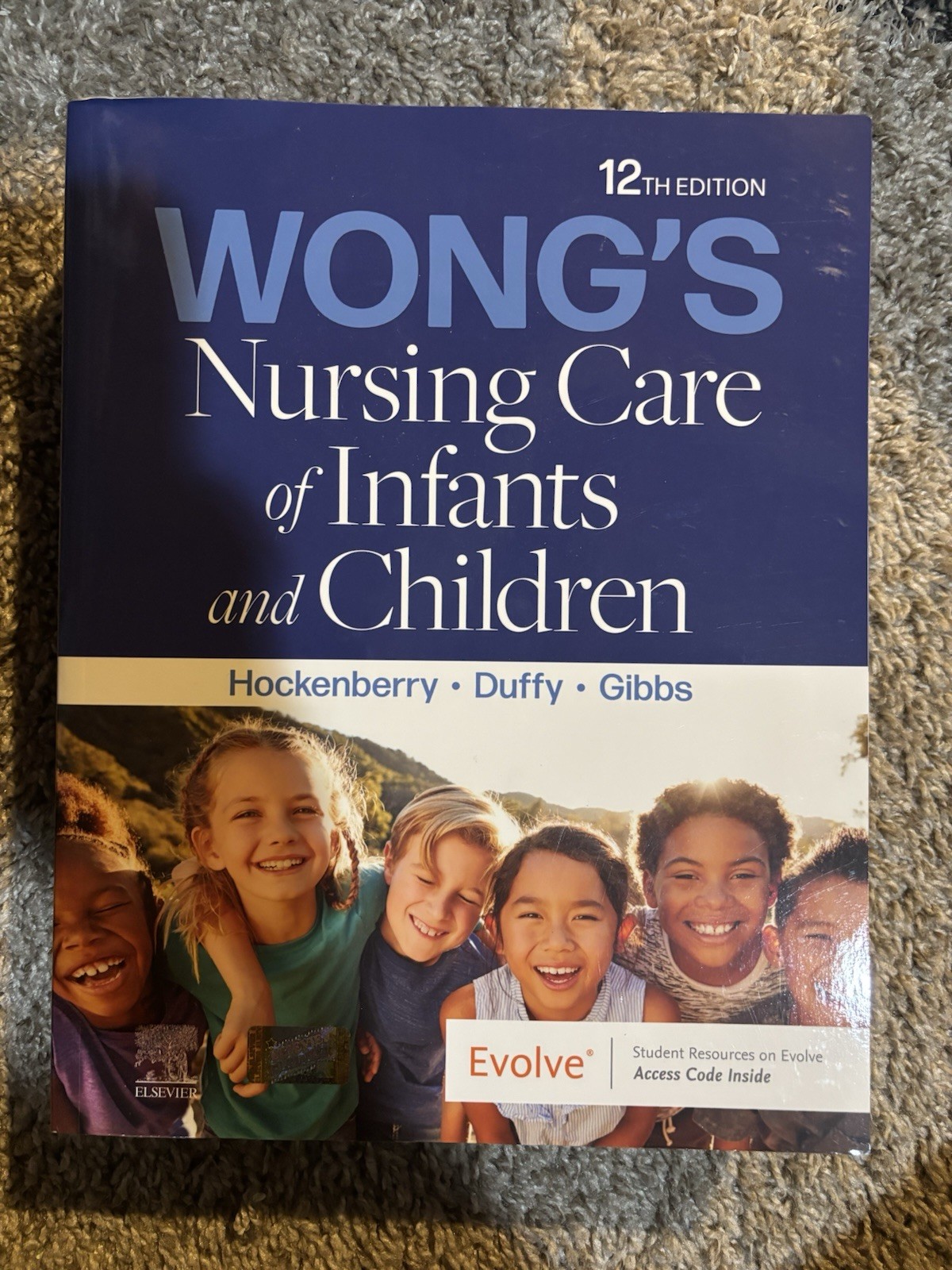 Wong’s Nursing Care Of Infants And Children Hockenberry/ Duffy 12th Edition