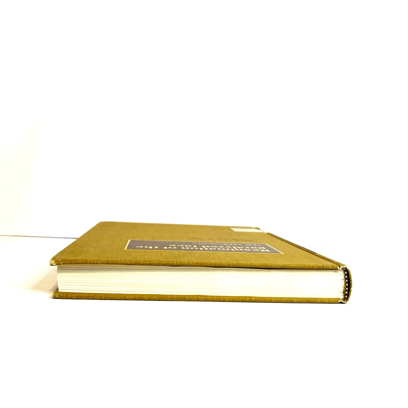 Vintage Reanimation of The Paralyzed Face Book Hardcover Leonard R. Rubin 1977