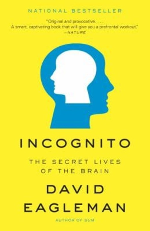 Incognito : The Secret Lives of the Brain Paperback David Eaglema
