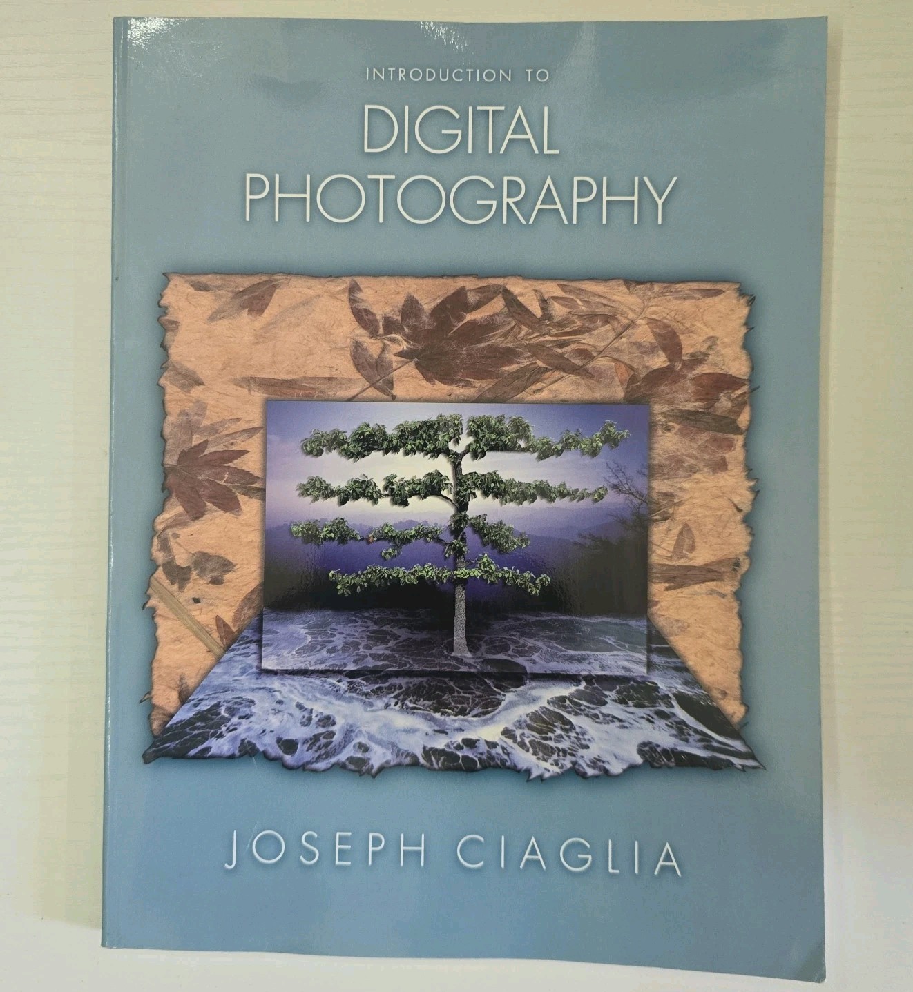 Introduction to Digital Photography by Joseph Ciaglia (2001, Trade Paperback)
