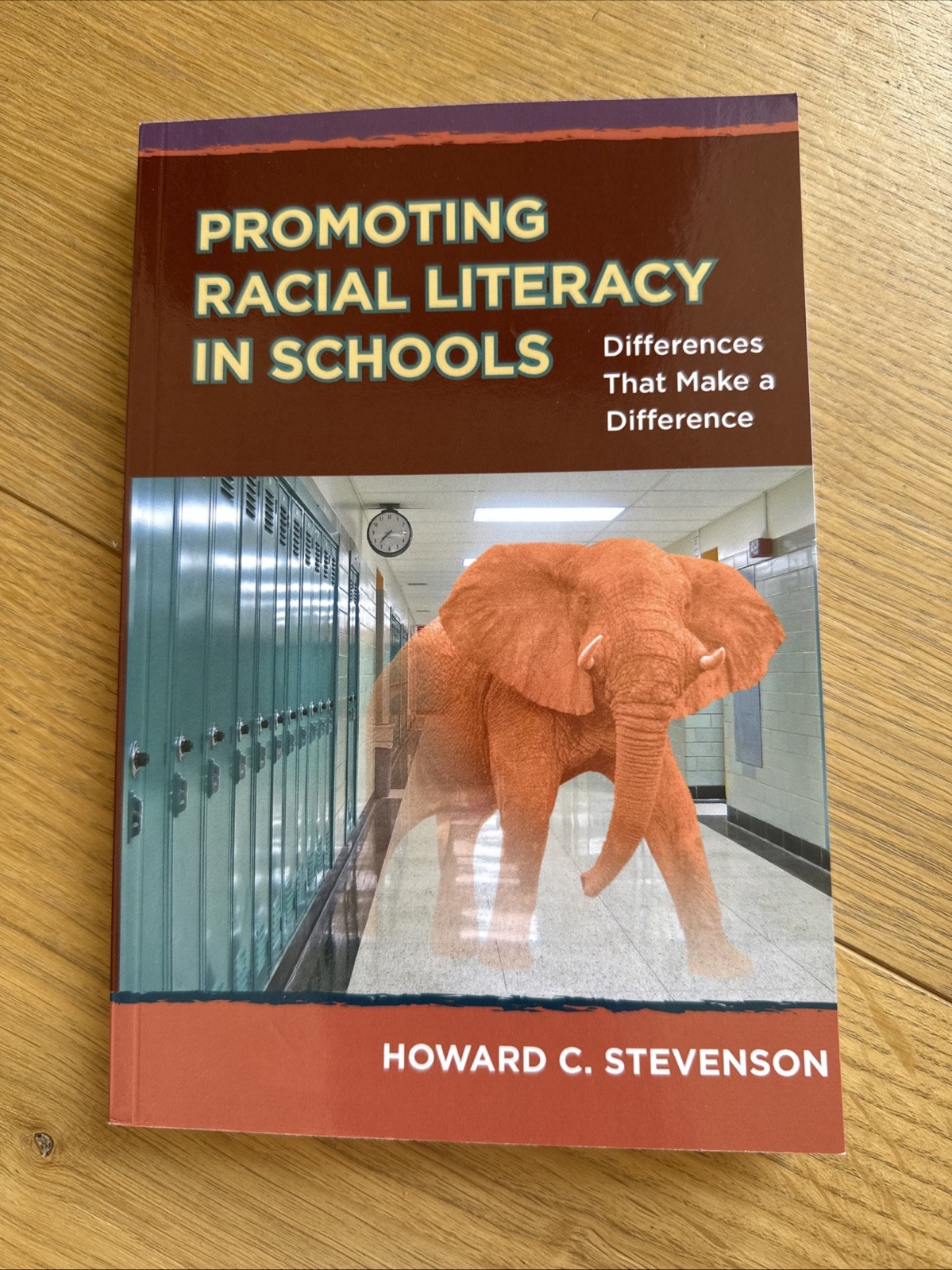 Promoting Racial Literacy in Schools : Differences That Make a Difference