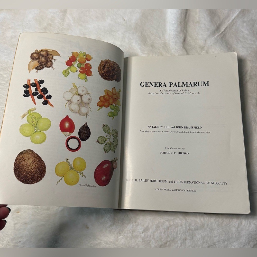Genera Palmarum: A Classification of Palms Based on Work of Harold E. Moore Jr.