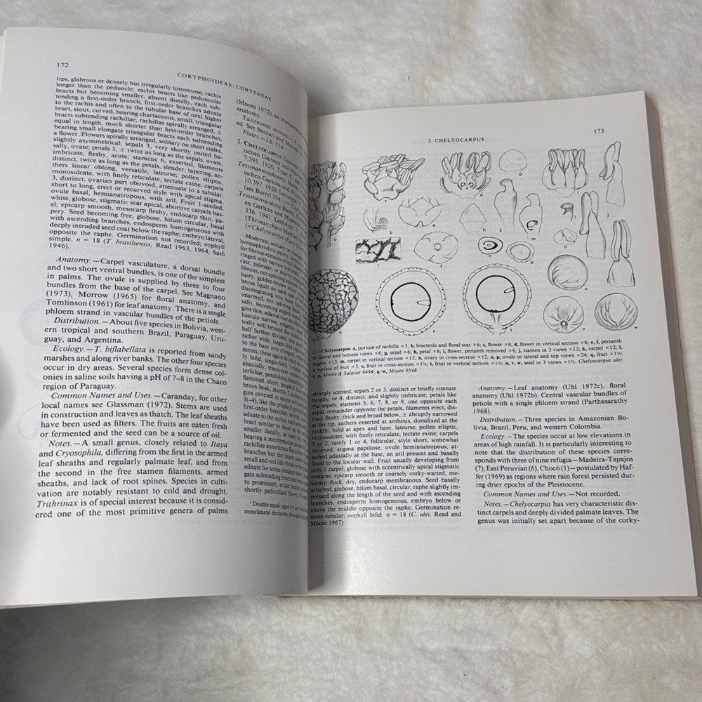 Genera Palmarum: A Classification of Palms Based on Work of Harold E. Moore Jr.