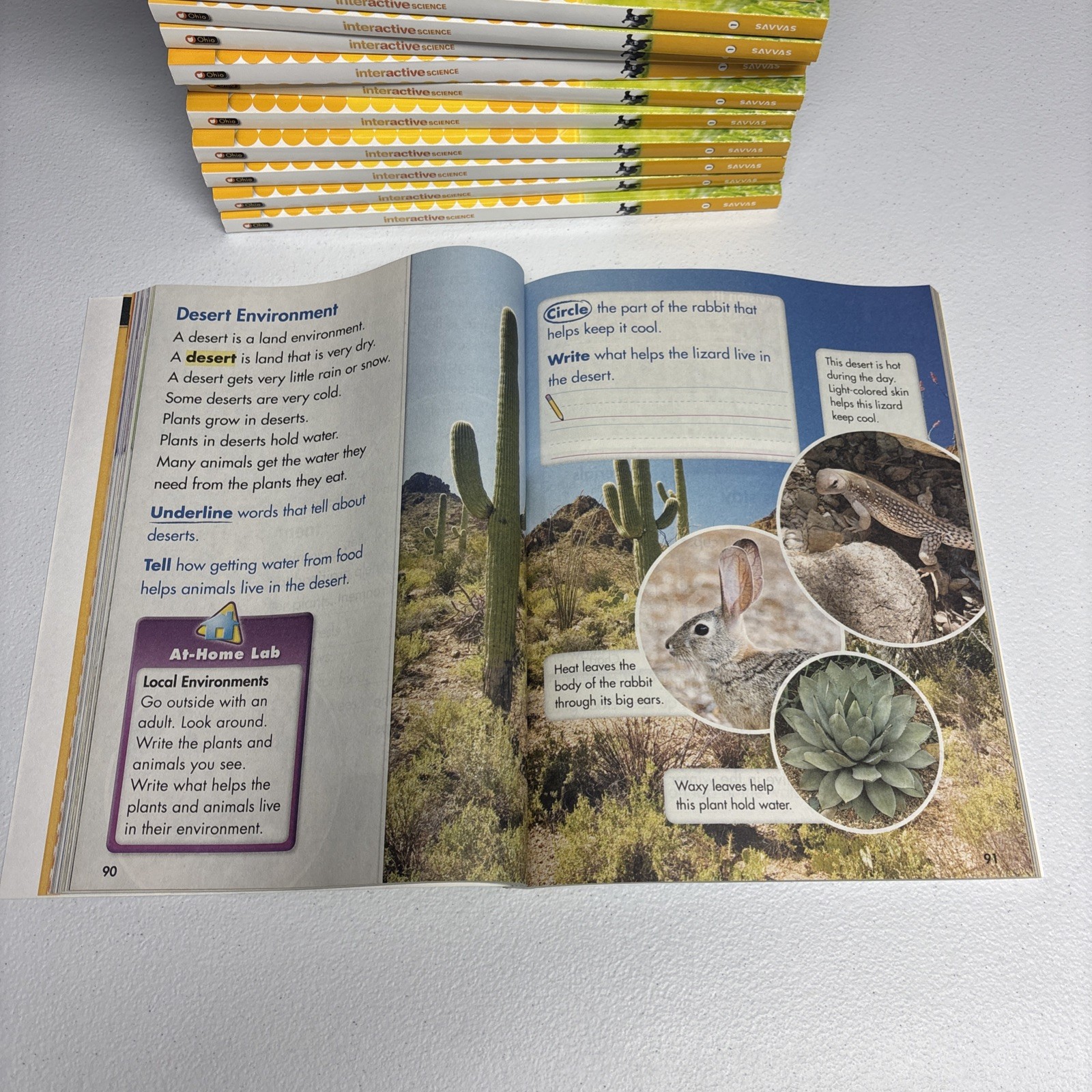 Interactive Science, Grade 1 by Pearson Education Staff LOT TOTAL 25 BOOKS