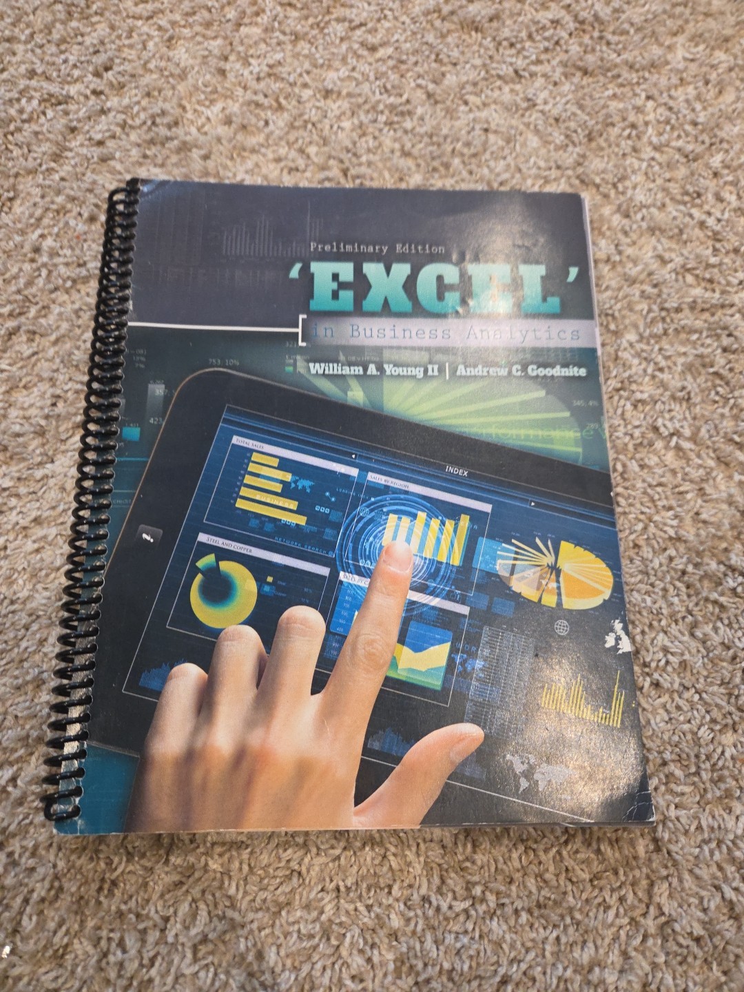 ‘Excel’ in Business Analytics by William A. Young & Andrew Goodnite (2020)