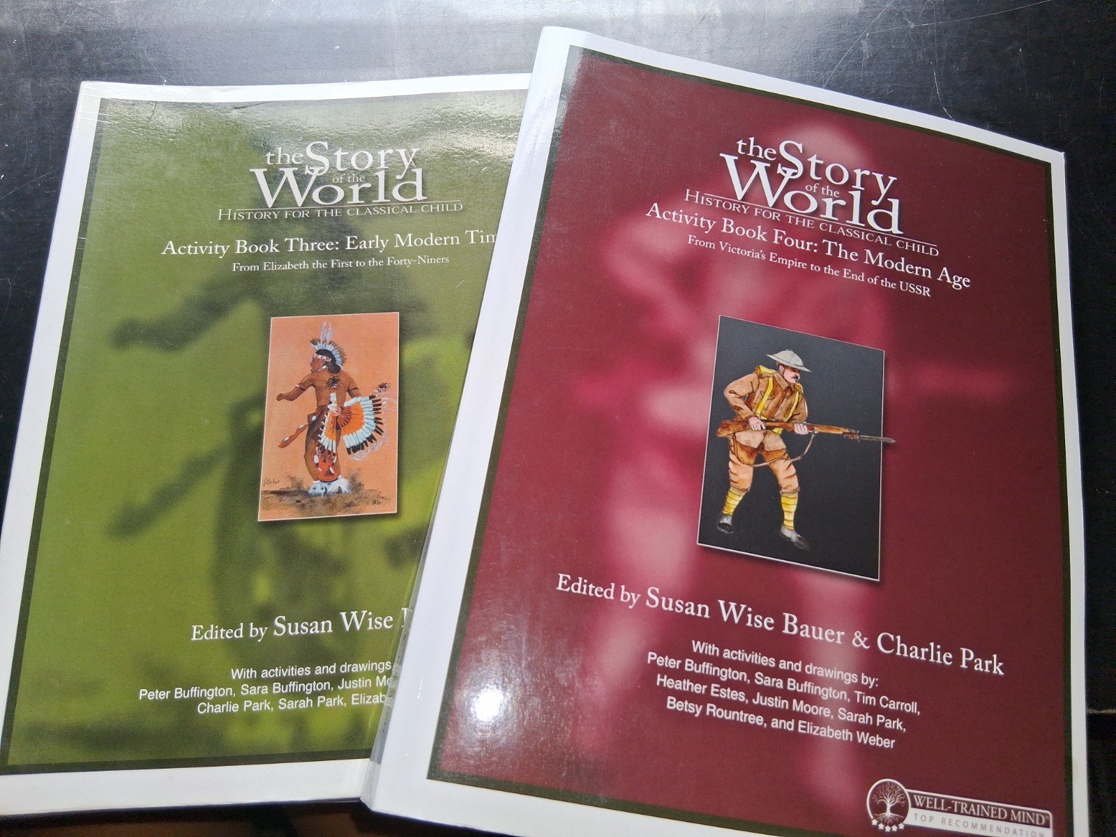 The Story of the World Vols 1-4 by Susan Wise Bauer Activity Books