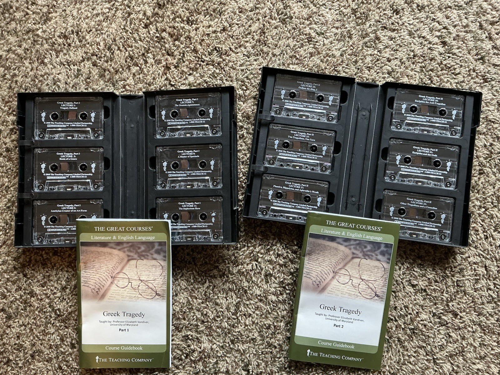 The Teaching Company Great Courses Mixed Lot