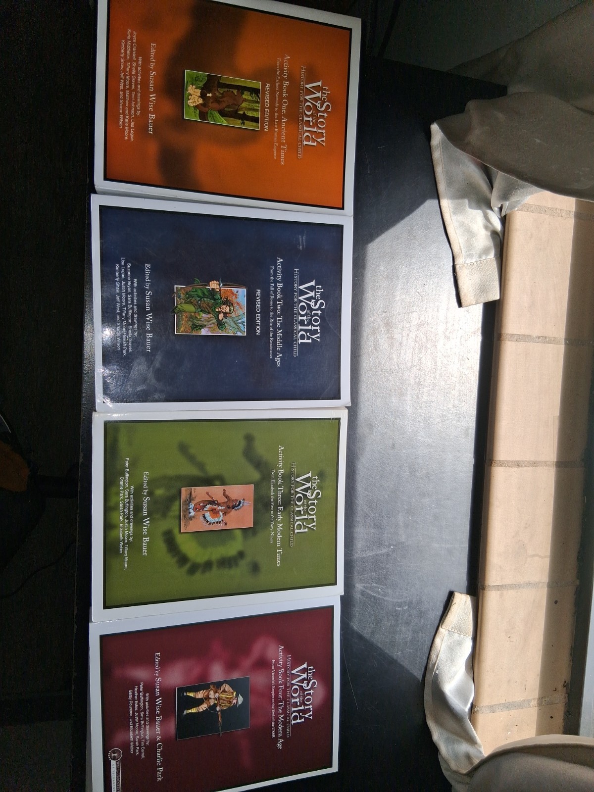 The Story of the World Vols 1-4 by Susan Wise Bauer Activity Books